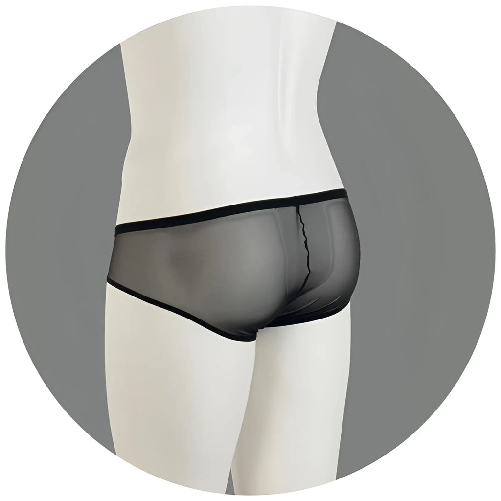Black sheer mesh briefs with sleek form fitting design from eros veneziani flock lace and mesh push up bikini underwear blue size lxl