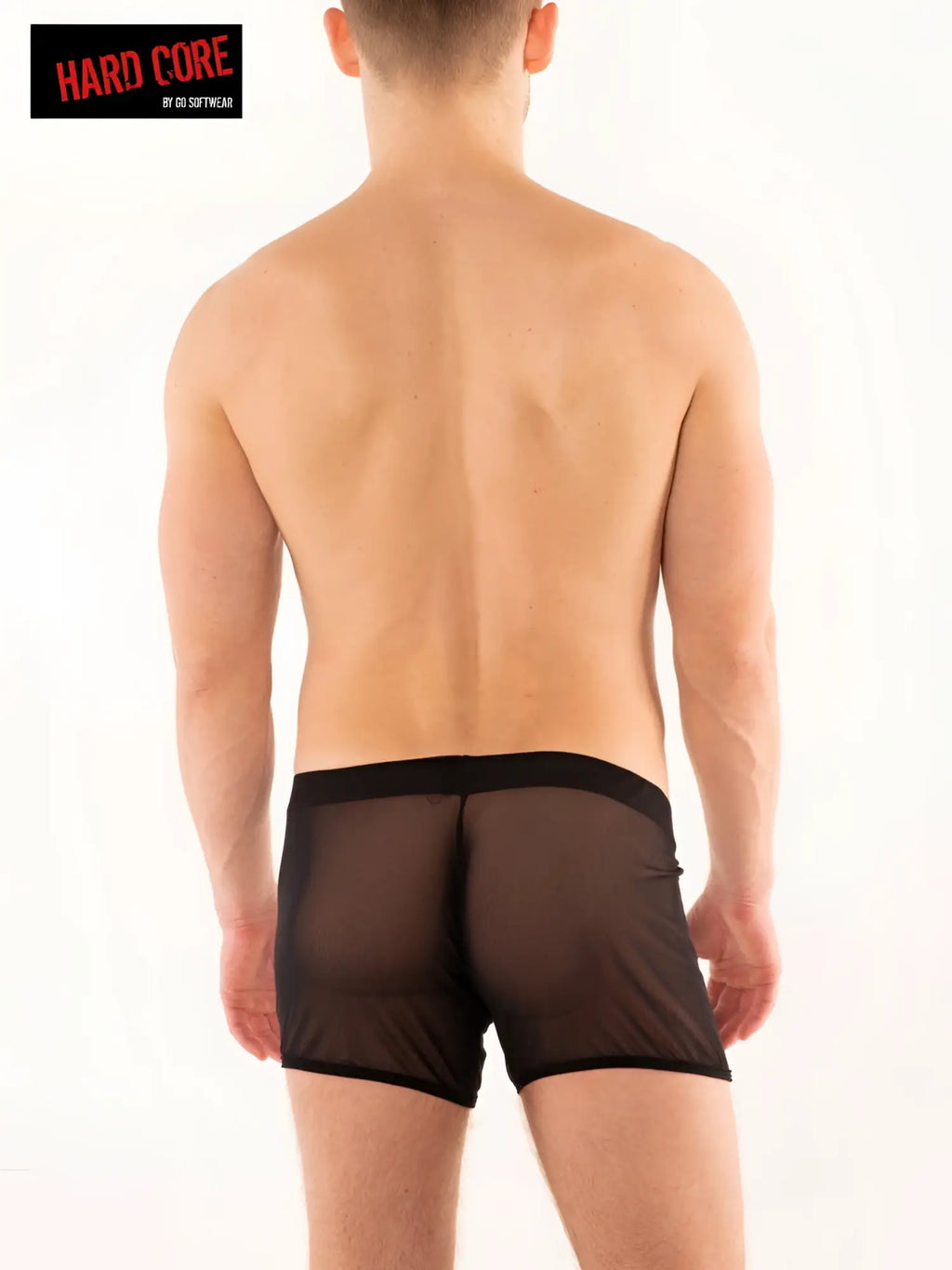Black sheer mesh briefs expose weekend shorty with solid black waistband shown from the back side