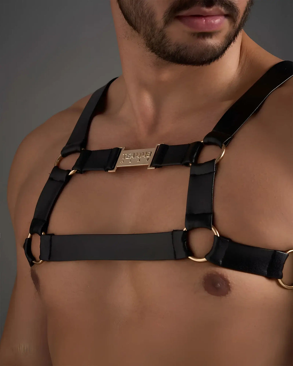 Black leather flex harness with gold metal rings and tampo engraved central plaque