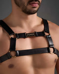 Flex harness black leather with gold toned metal rings and central plaque engraved teamb play