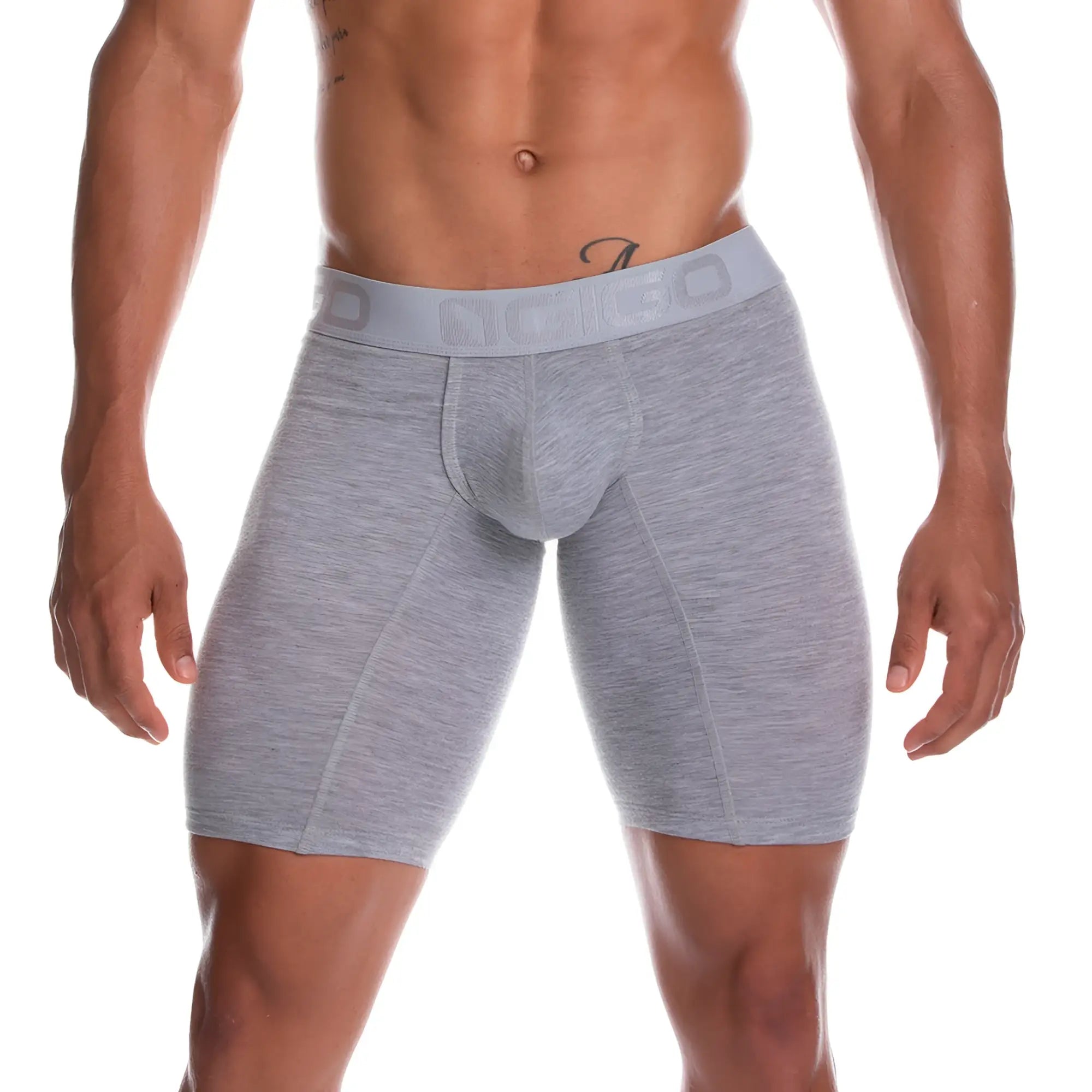 Gray heathered men’s boxer briefs with matching nico elastic waistband from the gigo cautious gray trunk long line