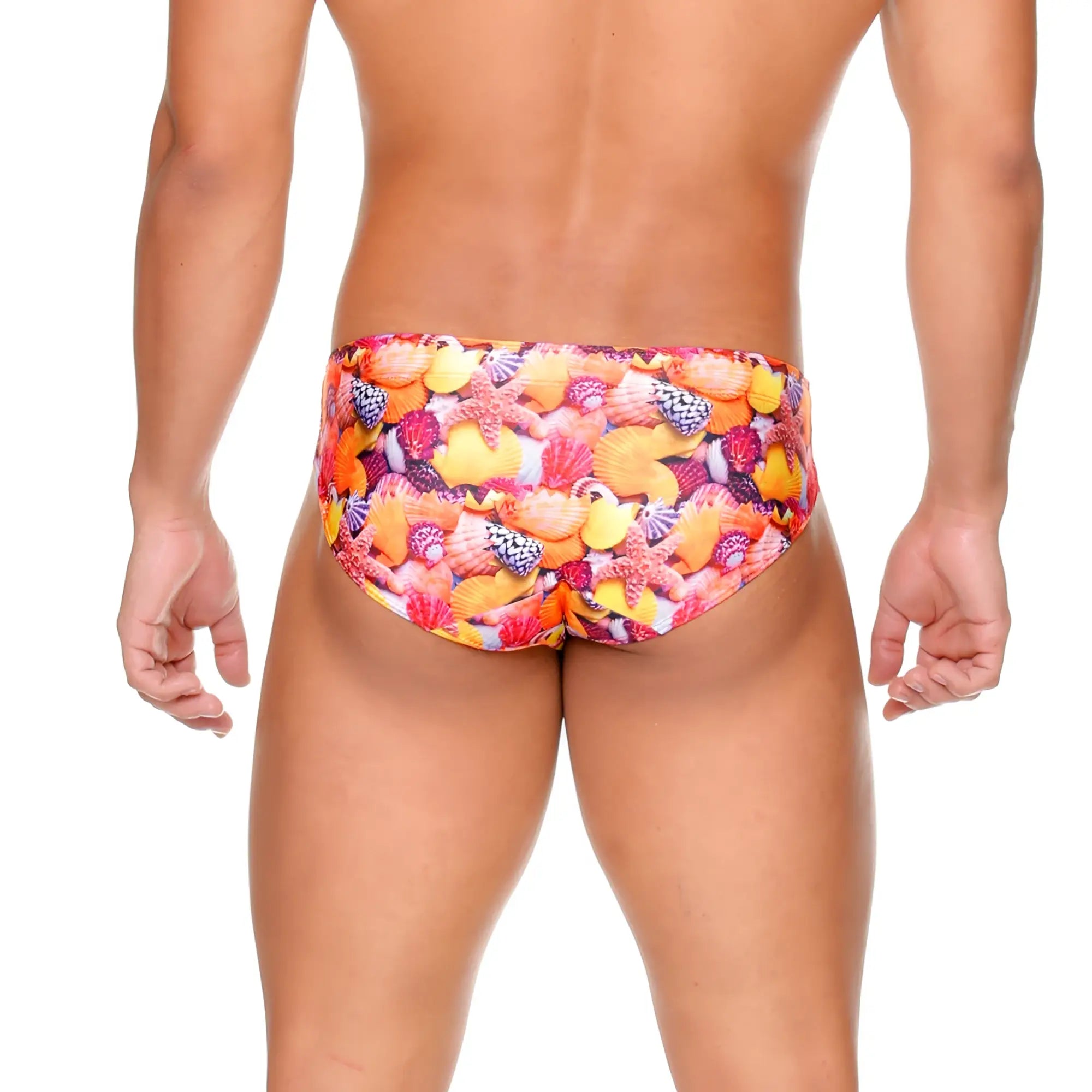 Gigo Corals swim brief featuring vibrant multicolored seashell and starfish pattern in shades of orange pink yellow and purple