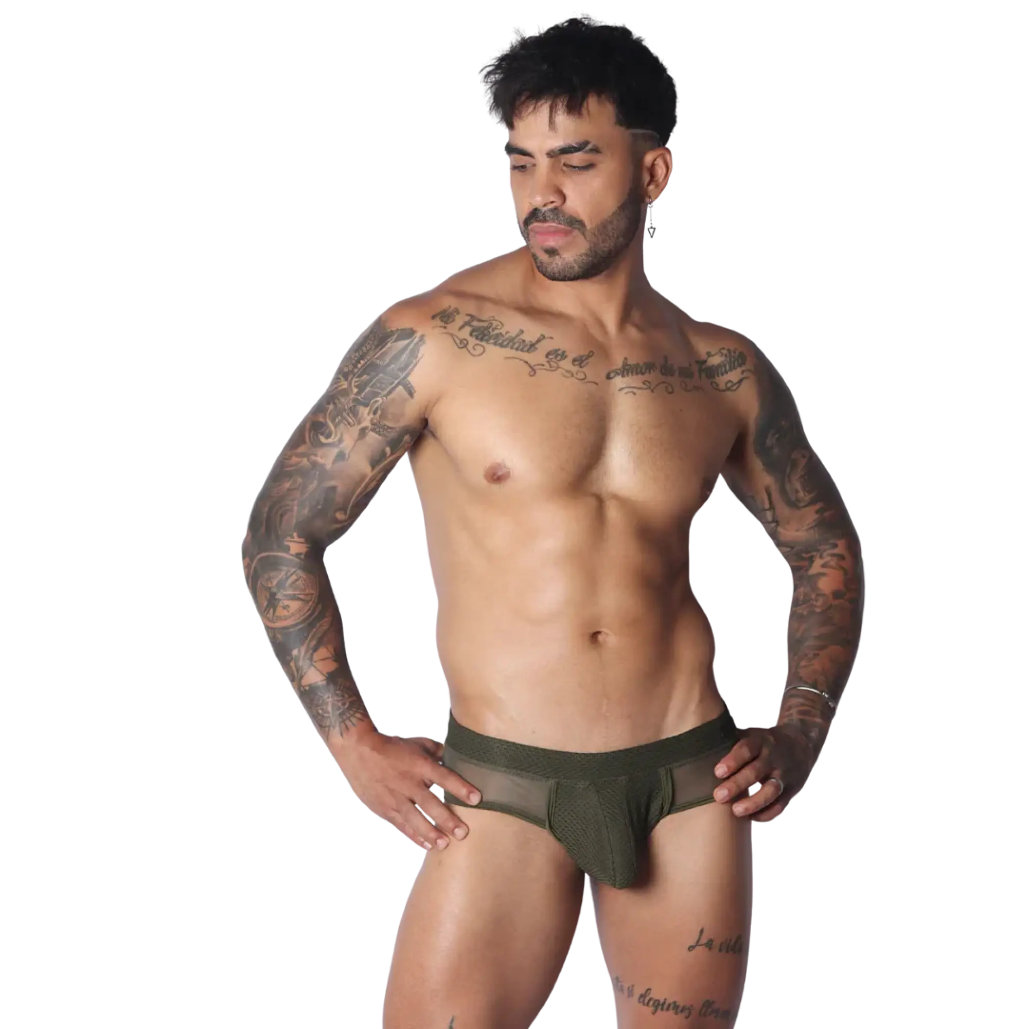 Olive green low-rise briefs featuring a textured mesh pouch and sheer side panels with a wide elastic waistband.