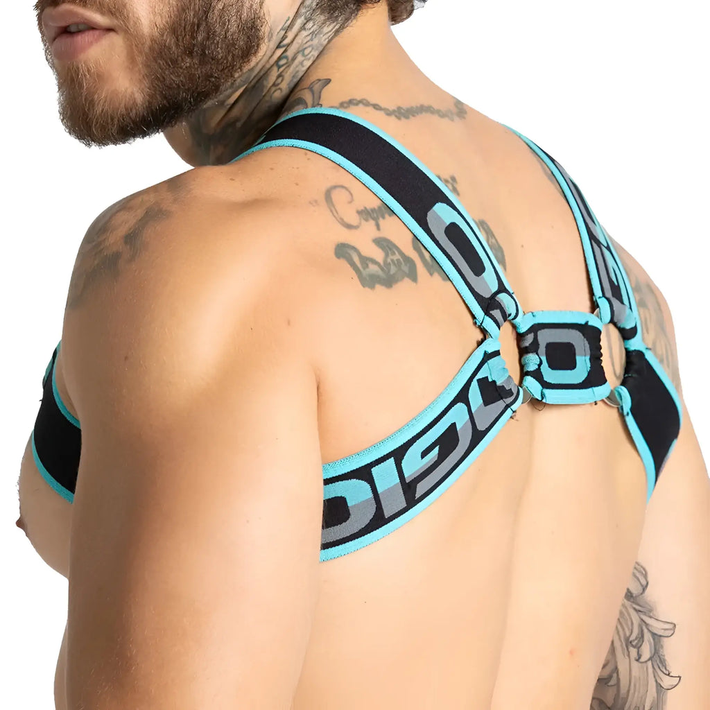 Gigo karma blue harness featuring black and turquoise stripes with bold disco branding across the straps