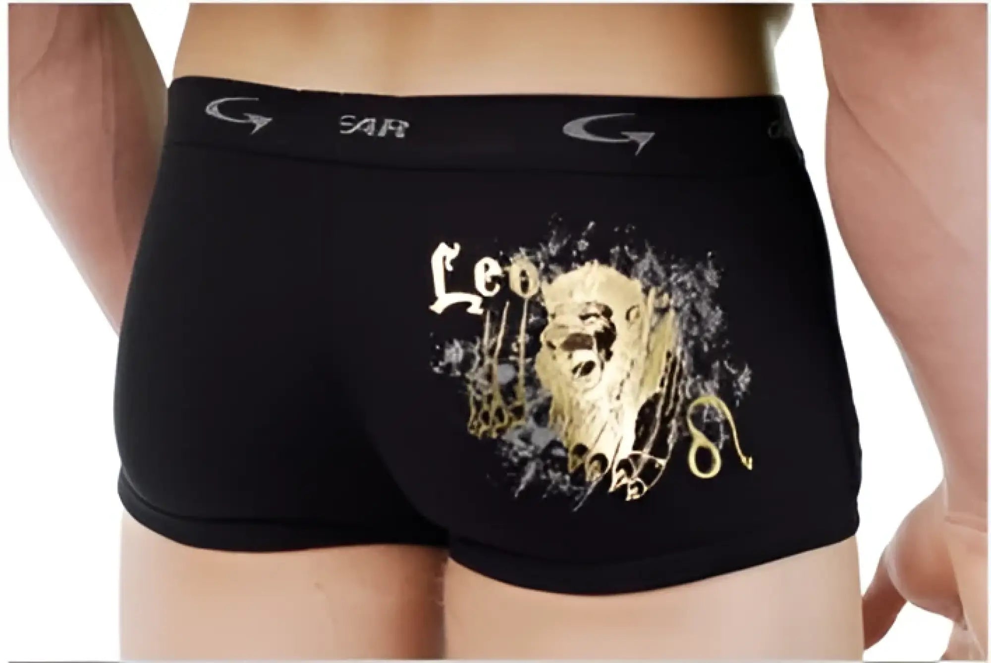 Black mens boxer briefs by gar with gold foil leo lion graphic in black go softwear astrology retro shorts capricorn size m