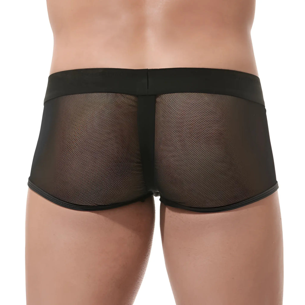 Gregg Homme avant-garde black mesh boxer briefs with solid black waistband size m showing front view