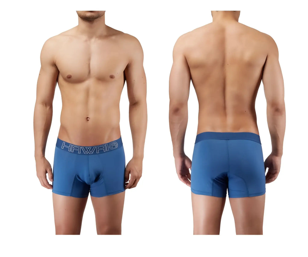 Blue quartz hawai 41948 boxer briefs with darker blue waistband and white hawaii logo in men’s underwear design