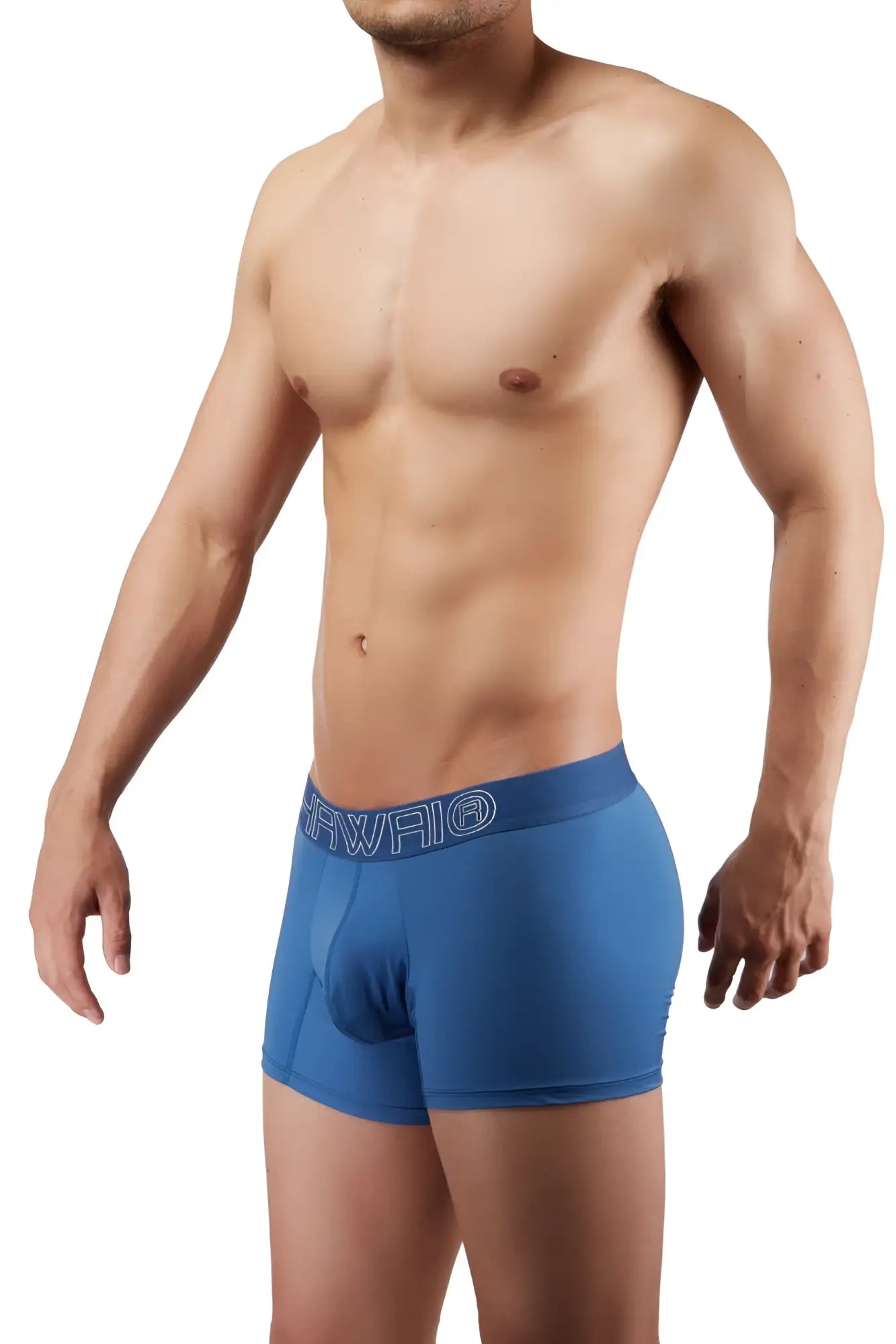 Hawai 41948 blue quartz men’s boxer briefs with subtle white logo on waistband ideal for daily wear