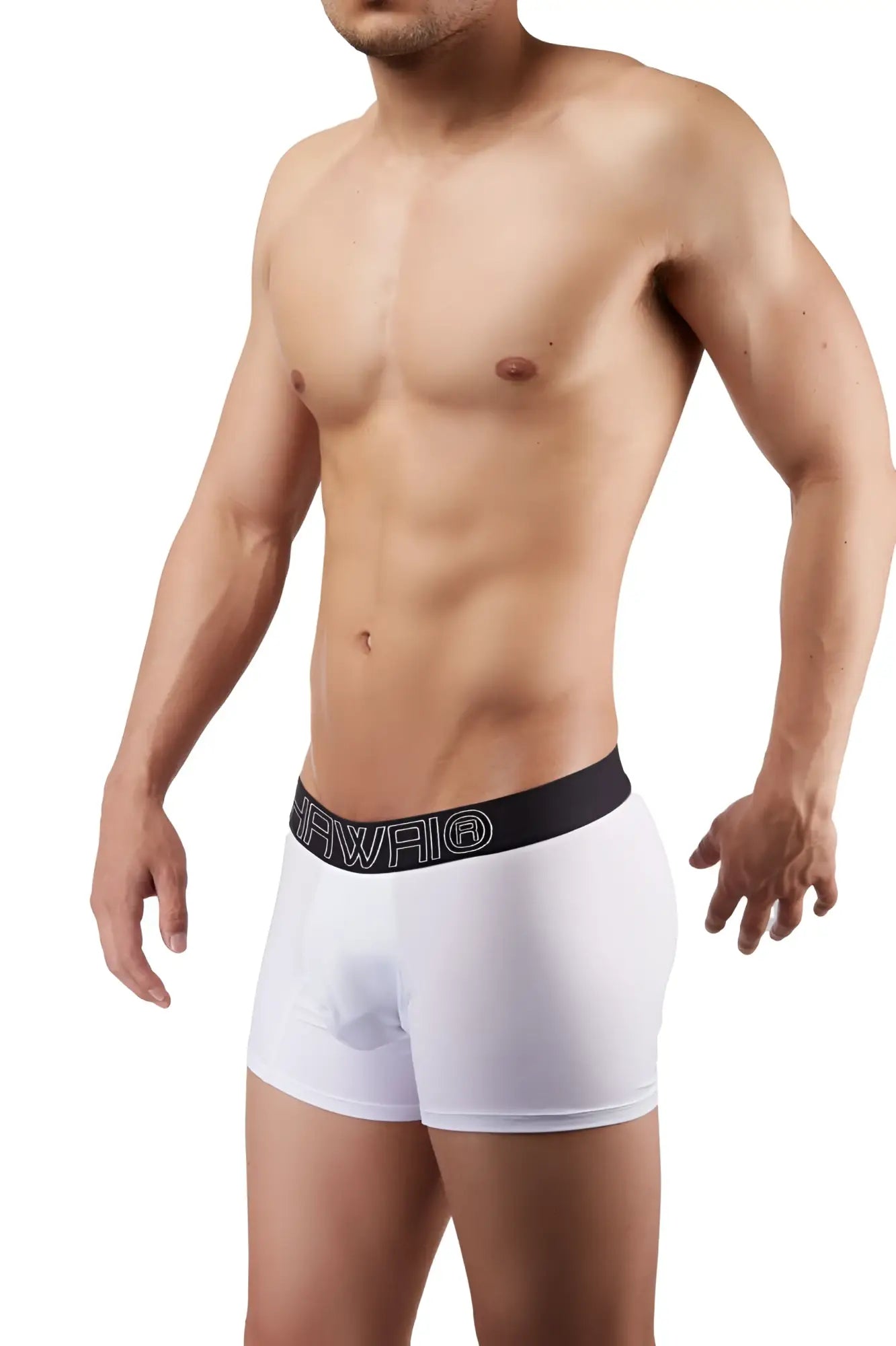 White boxer briefs with a black hawaii branded waistband in white lettering model 41948 color white
