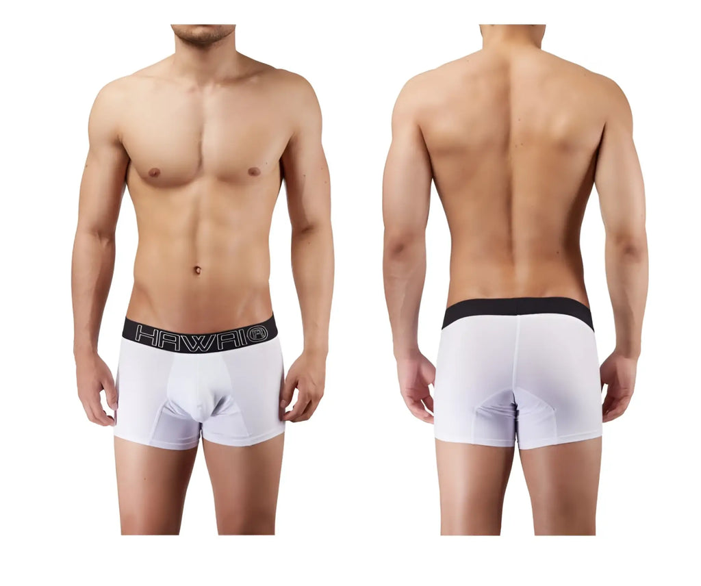 White men’s boxer briefs with a black waistband featuring the hawaii logo in white lettering model 41948