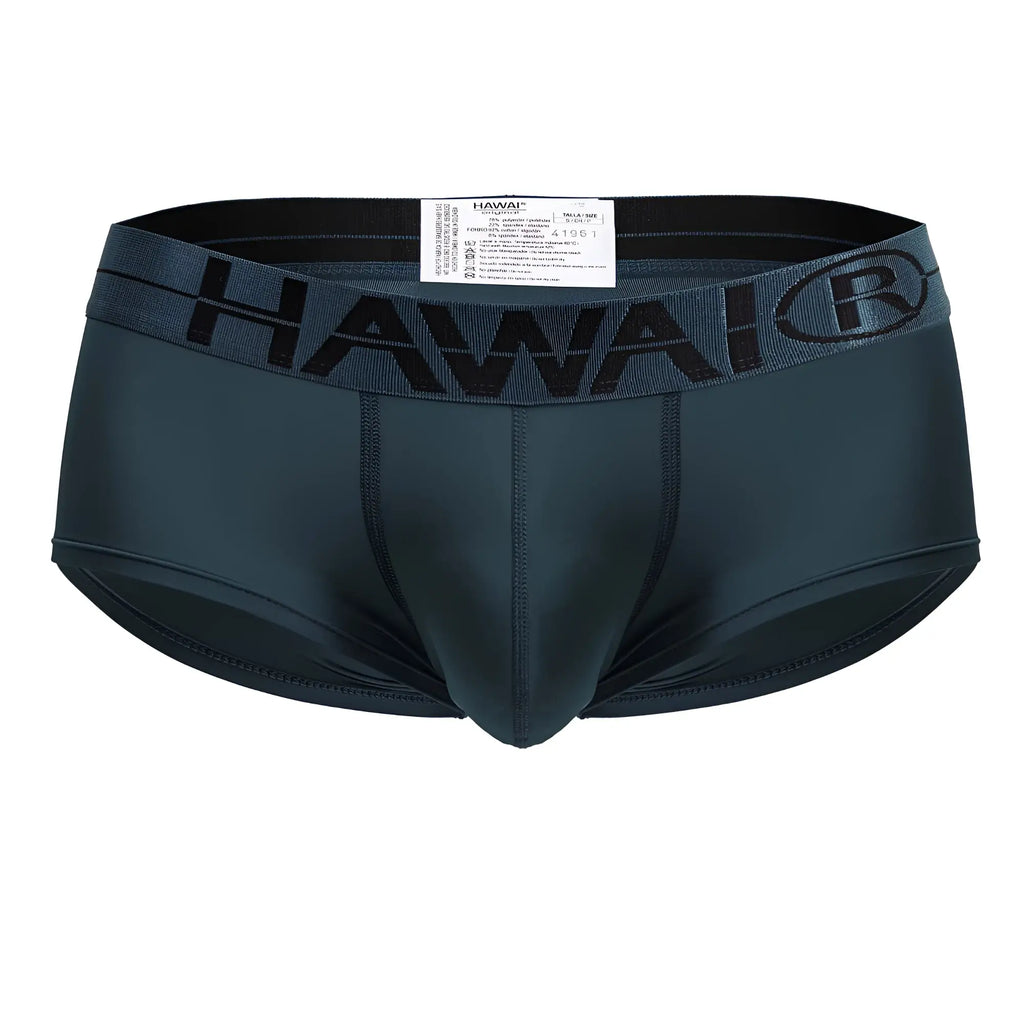 Dark teal Hawaii® men’s microfiber briefs with black elastic waistband and brand logo in color green