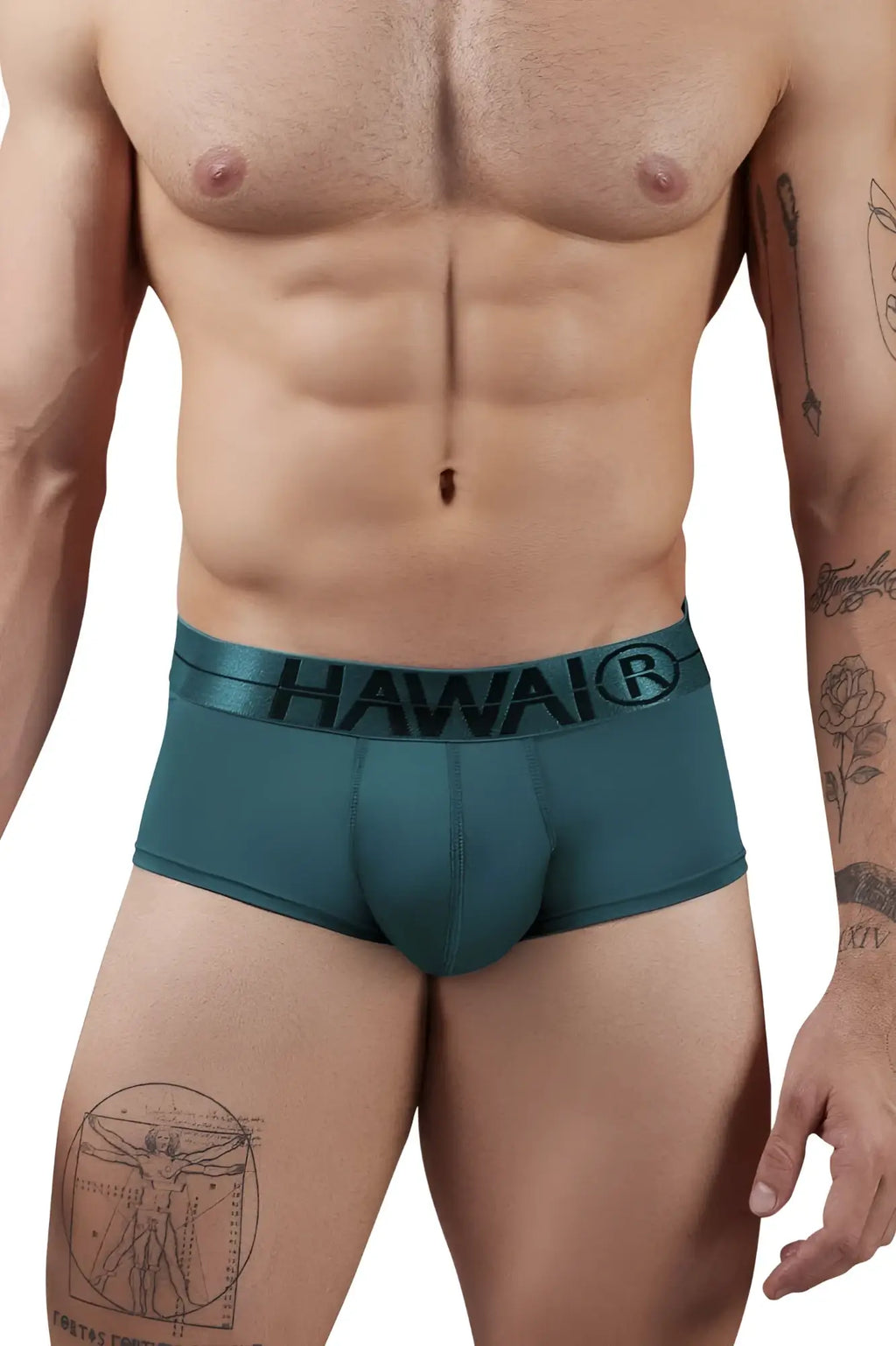 Teal microfiber men’s briefs with a black hawai logo on the waistband in green color model 41961