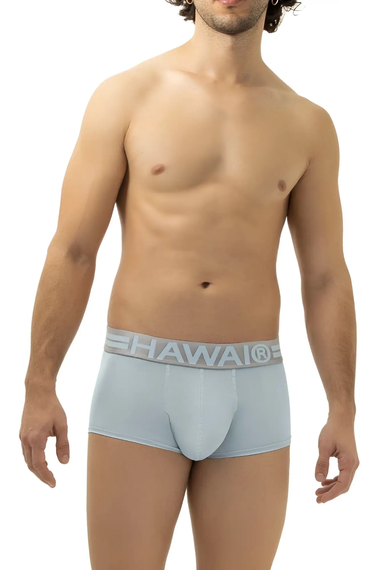 Light blue Hawai 41961 microfiber men’s briefs with matching elastic waistband featuring the Hawai logo
