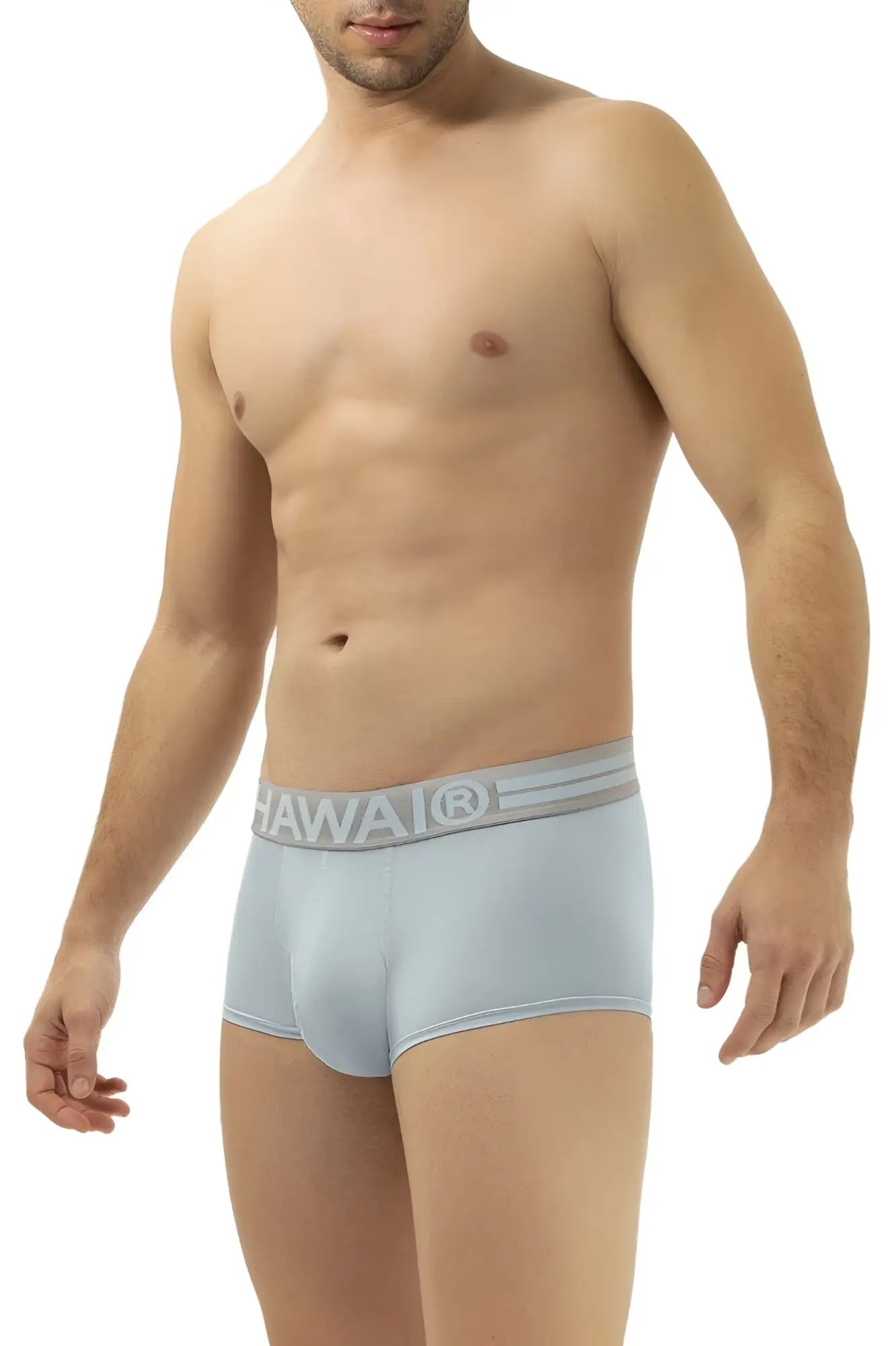Light blue men’s microfiber briefs with gray waistband featuring hawaii brand name HAWAI 41961 microfiber briefs