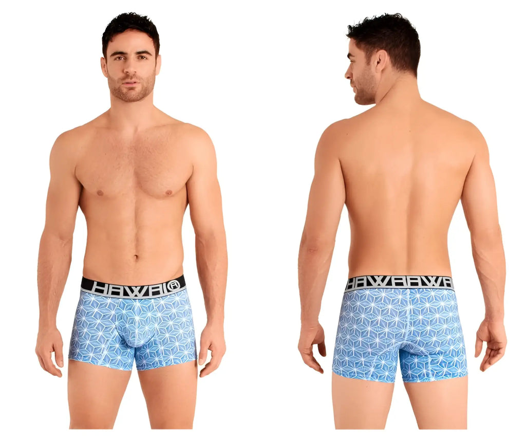 Light blue boxer briefs with geometric pattern and black hawaii waistband from HAWAI 42022 trunks color blue