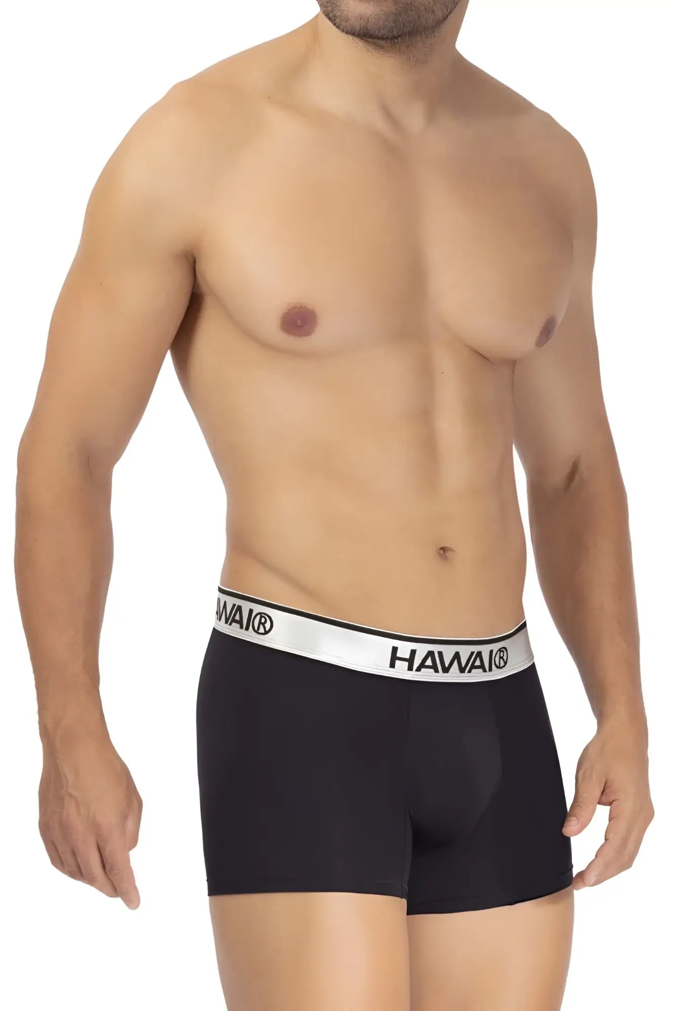 Black havaianas hawa 42326 microfiber boxer briefs in black with white waistband featuring brand logo