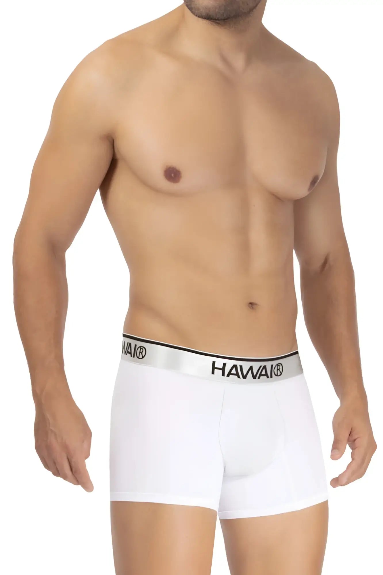 White hawaii microfiber boxer briefs in white with a silver waistband featuring black hawaii lettering