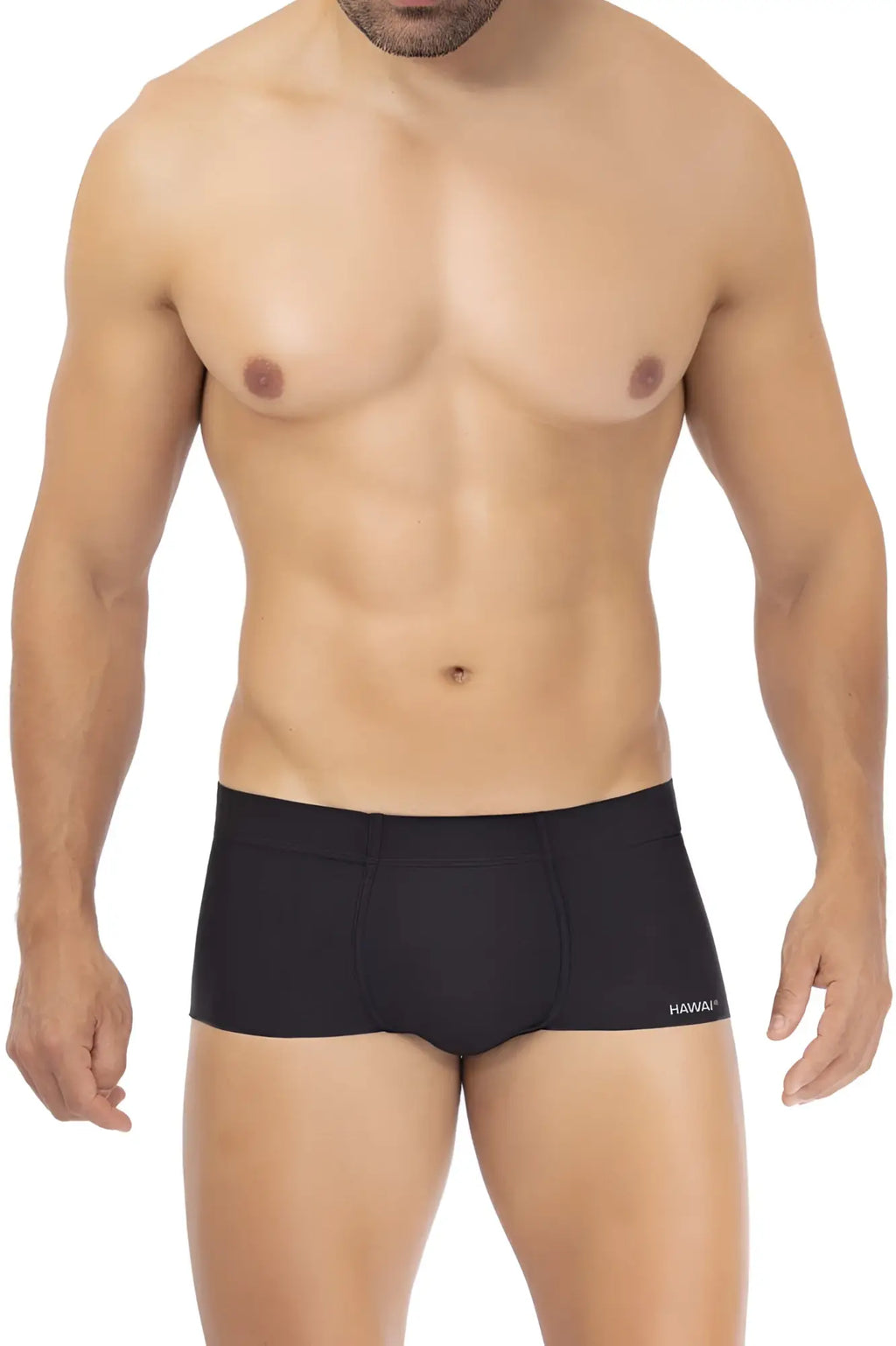 Black mens microfiber briefs in black with a subtle hawaiian logo on the side from hawai 42344 trunks collection