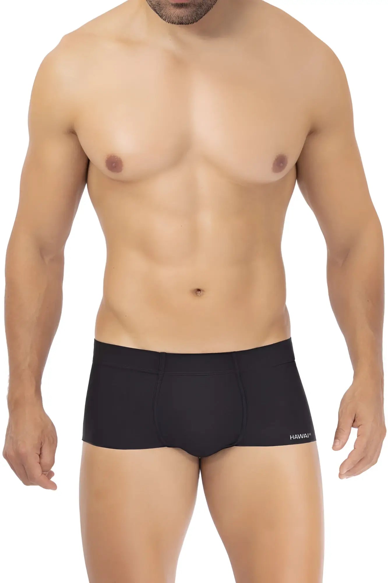 Black mens microfiber briefs in black with a subtle hawaiian logo on the side from hawai 42344 trunks collection