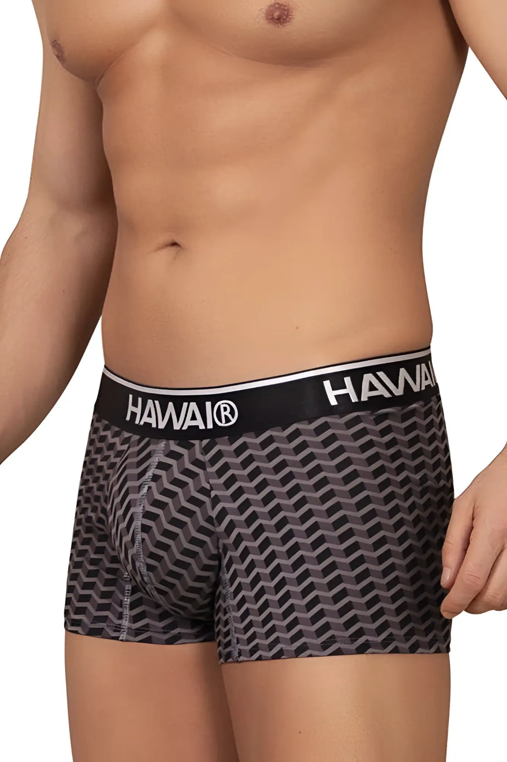 Hawaii 42371 printed trunks in gray with black and gray geometric pattern and black waistband with hawaii logo