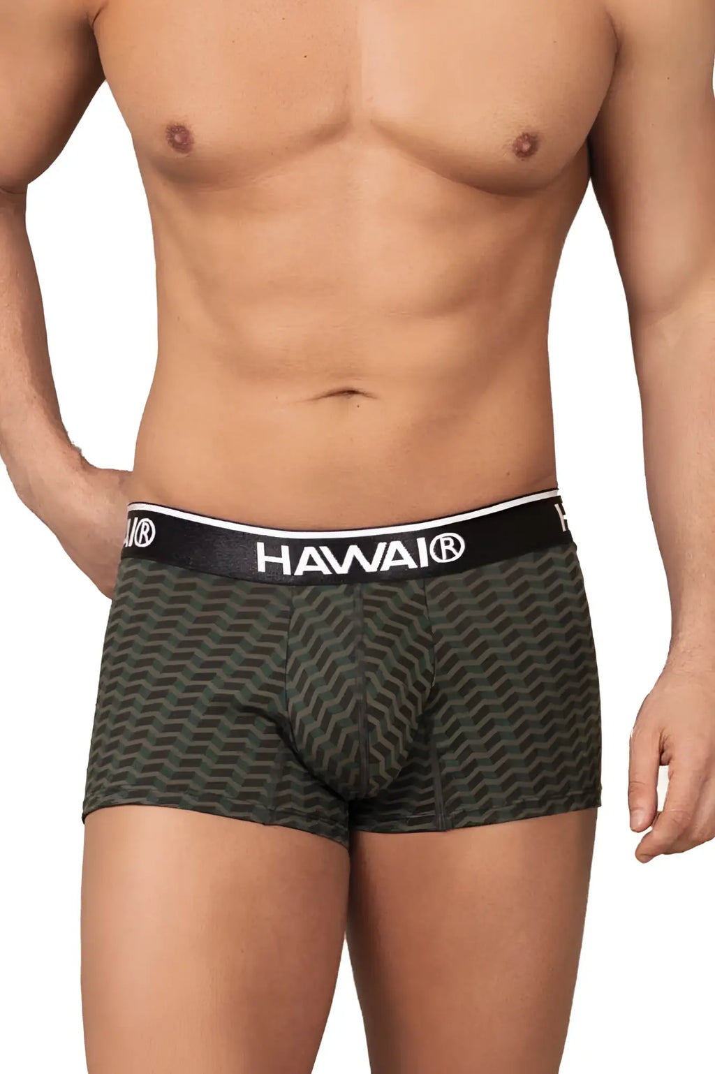 Dark green patterned hawaii boxer briefs with black waistband featuring white hawaii branding printed trunks color green