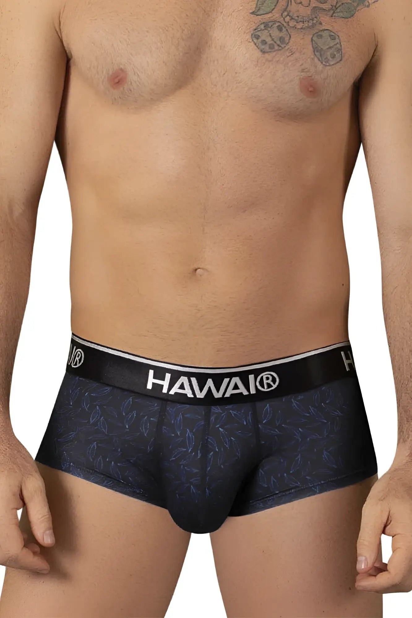 Black Hawai 42380 men’s printed briefs in black with subtle blue leaf pattern and white branded waistband