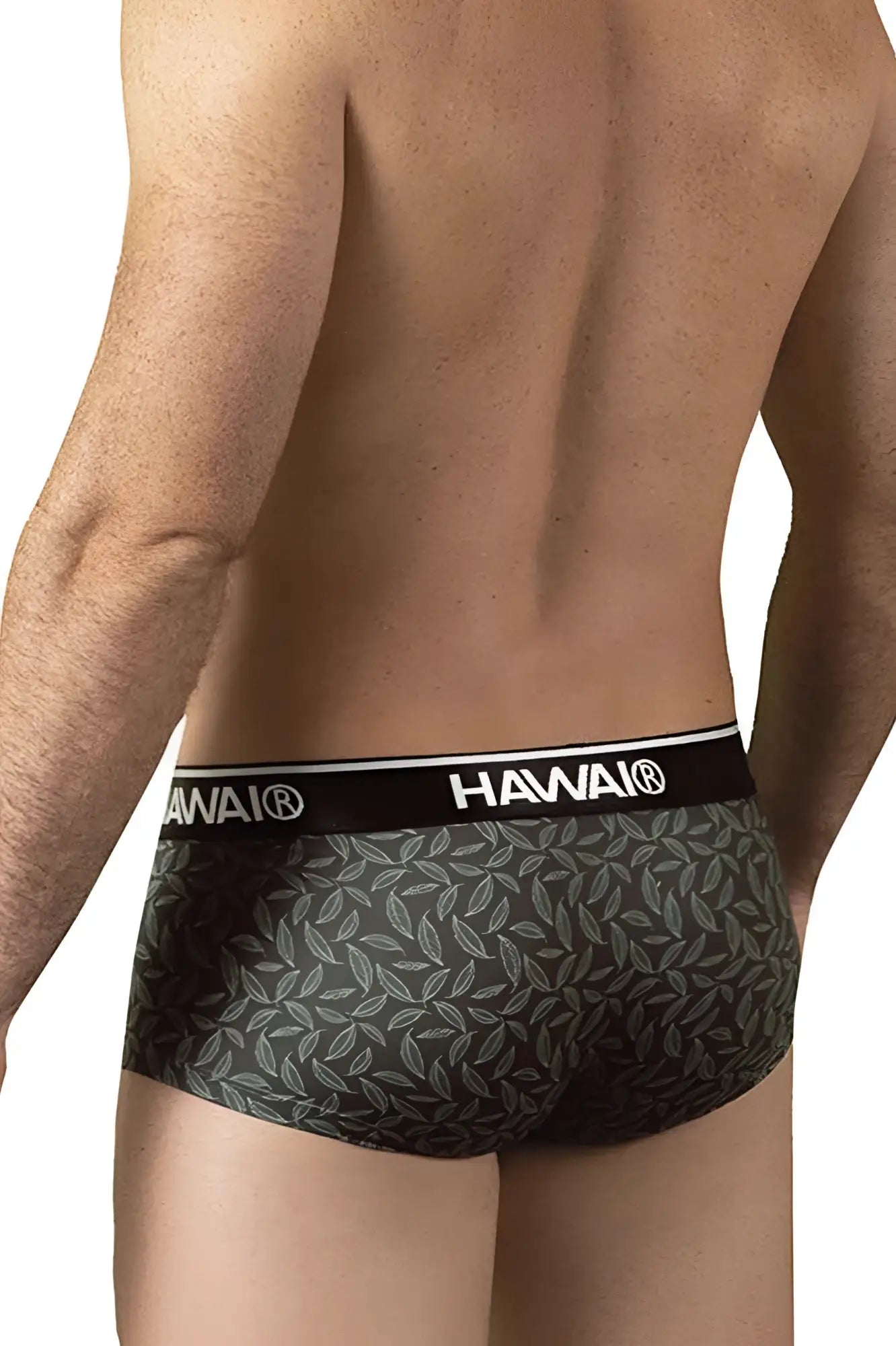 Dark gray Hawai 42380 printed briefs with subtle leaf pattern and black waistband with white brand name lettering