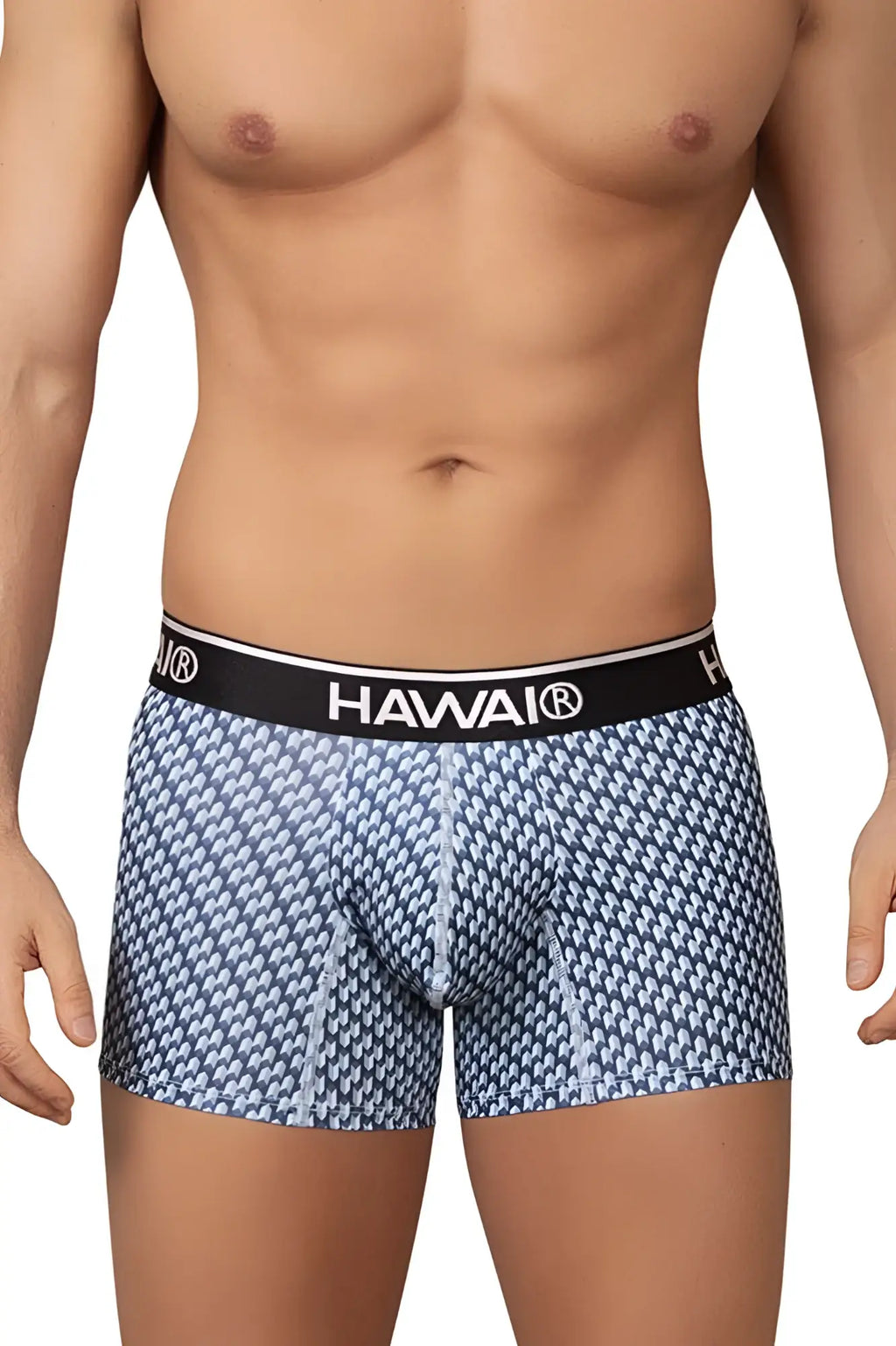 Blue and white patterned hawai 42420 printed boxer briefs with black waistband and white hawai logo lettering