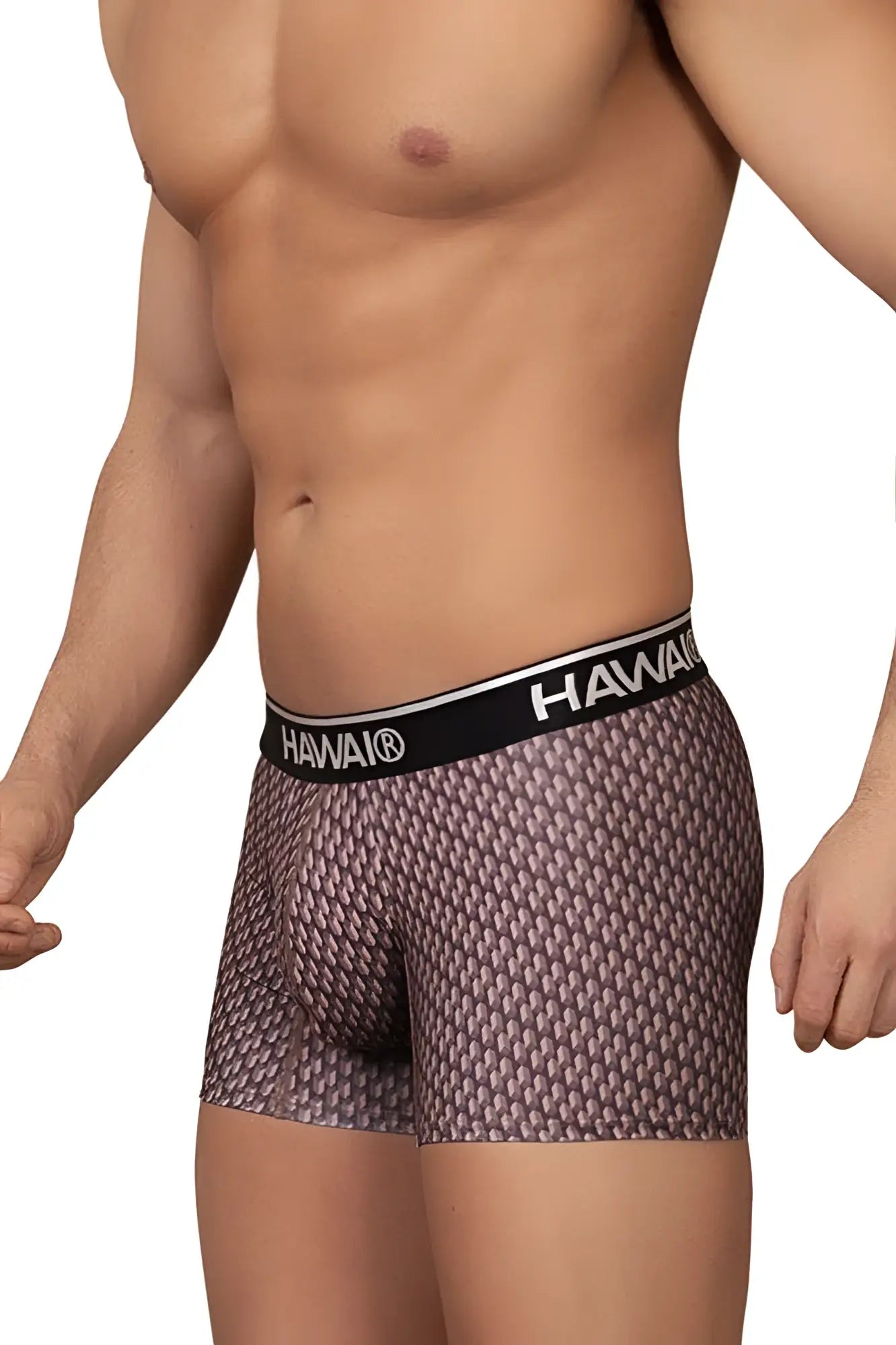 Hawaii 42420 printed trunks cocoa color boxer briefs with hawaiian pattern and black waistband with hawaii logo