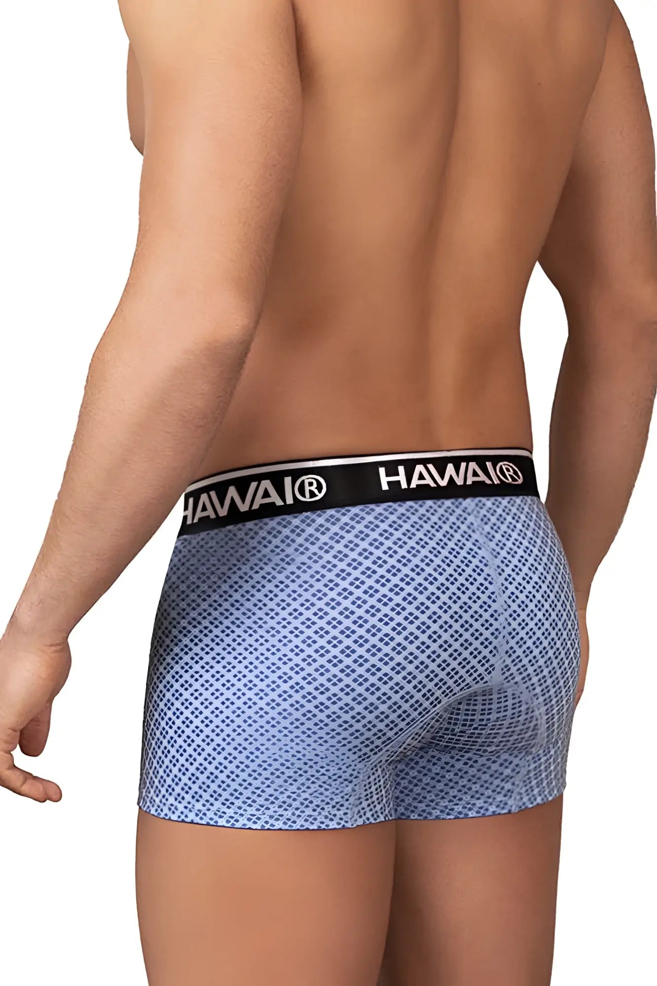 Light blue hawaii 42421 printed trunks with subtle geometric pattern and black waistband with white branding