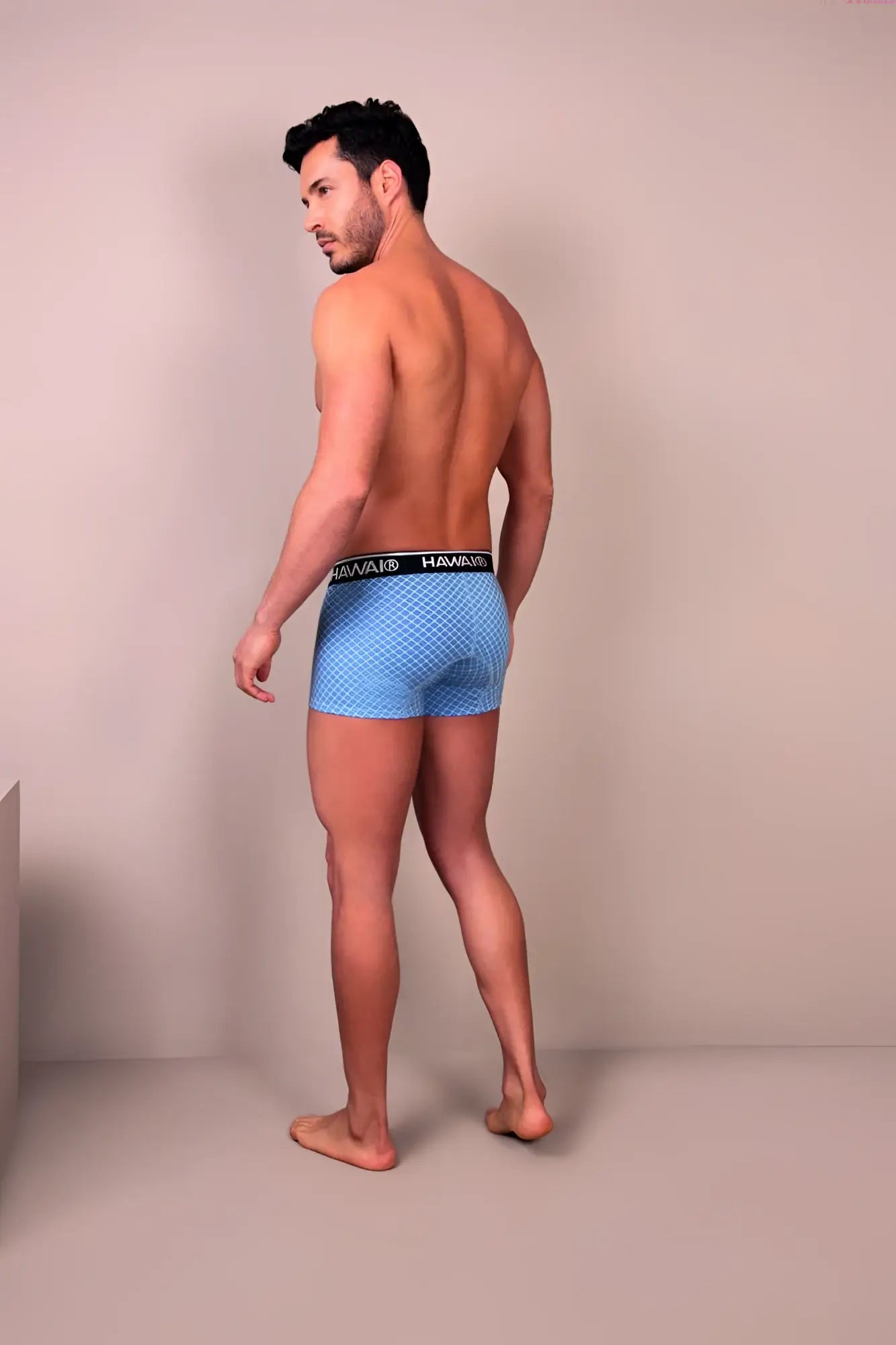 Light blue patterned boxer briefs with black habanos elastic waistband in HAWAI 42421 printed trunks design