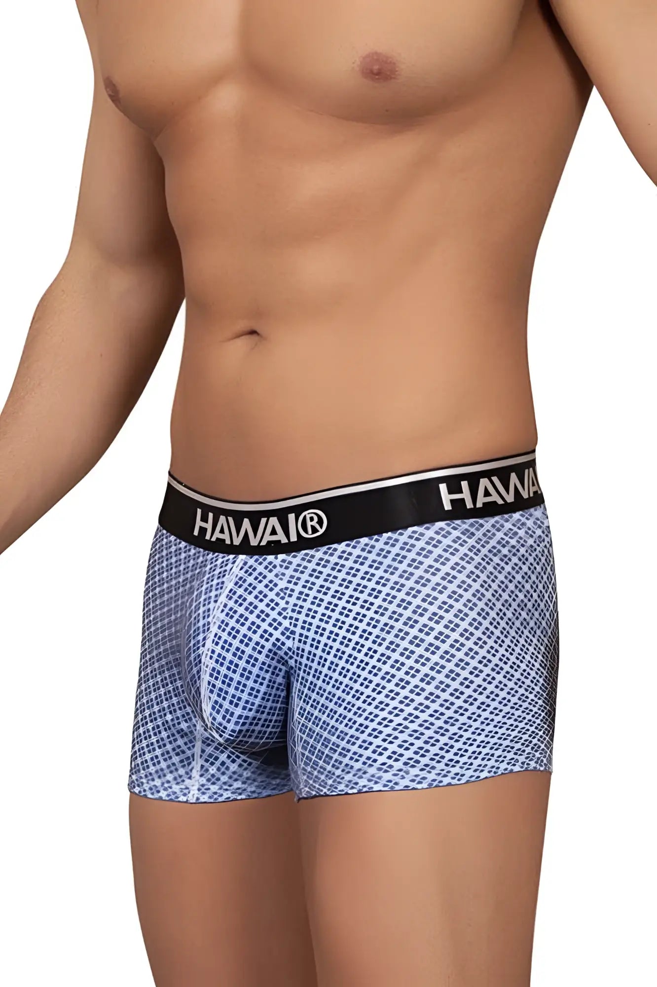 Blue and white checkered hawaii 42421 printed trunks with black waistband and hawaii brand name for men