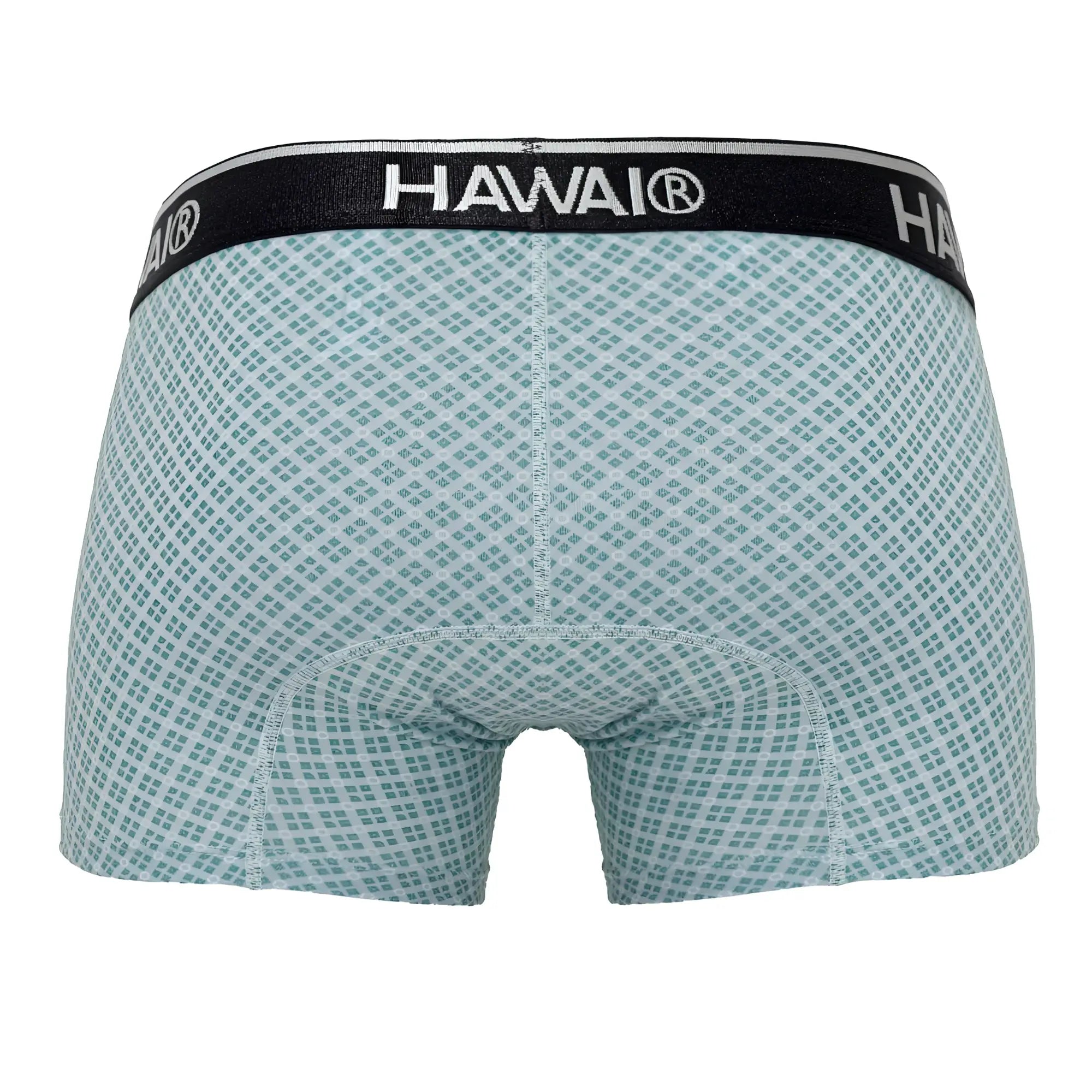 Light blue hawaï 42421 printed trunks boxer briefs with subtle geometric pattern and black waistband in green color