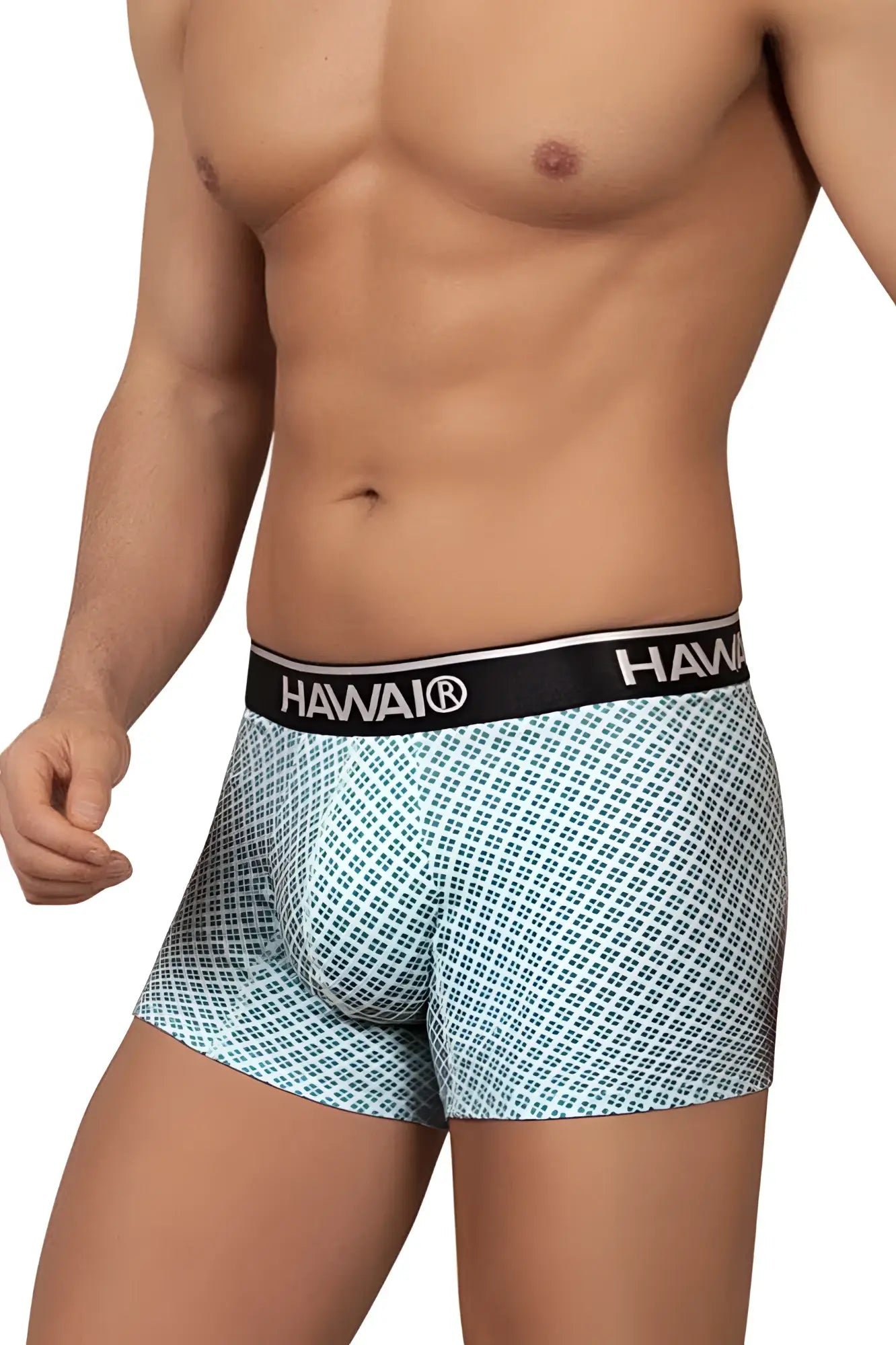 Light blue patterned boxer briefs with green hues and black hawaii waistband from hawaii 42421 printed trunks