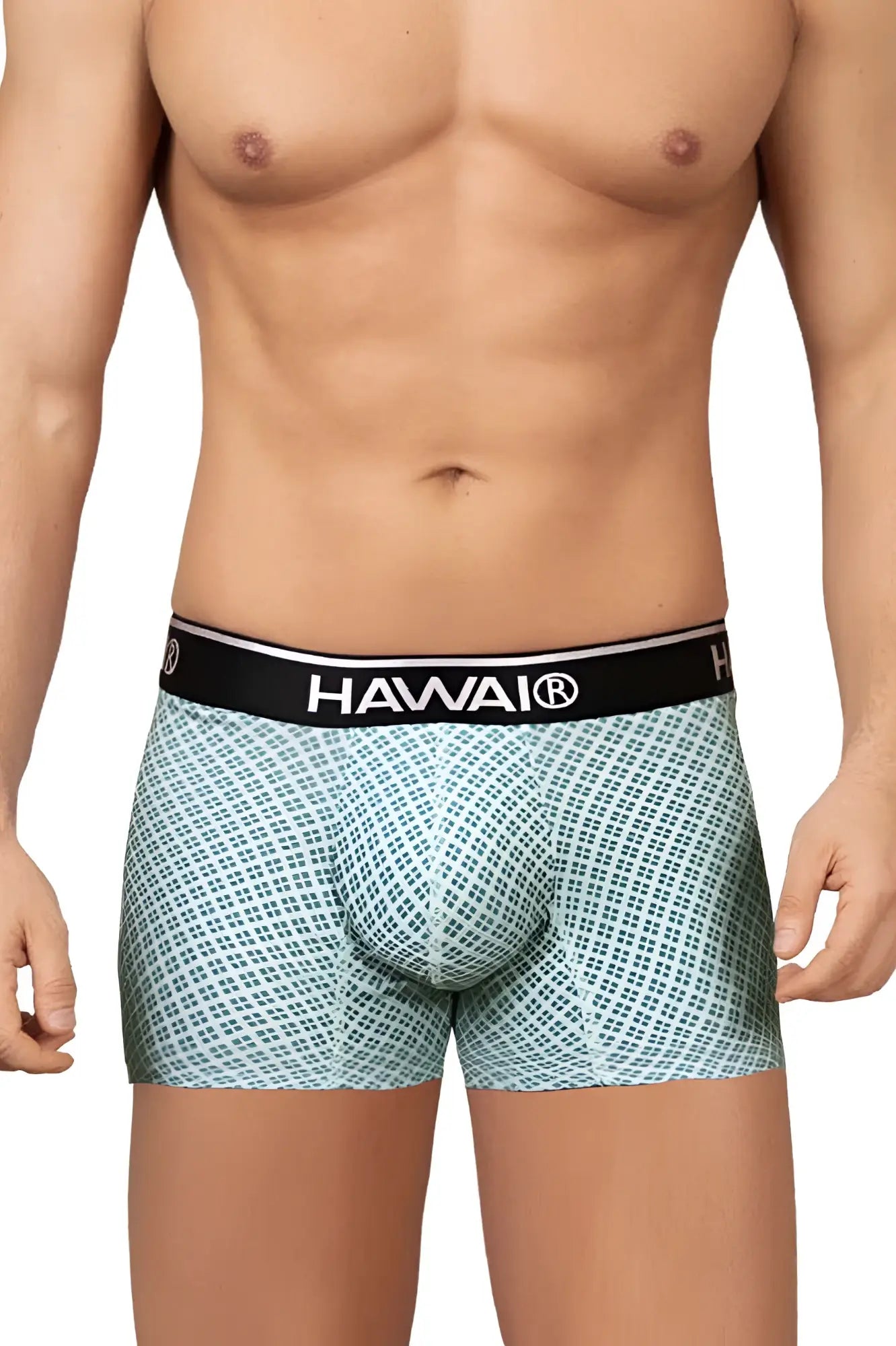 Light blue patterned boxer briefs with black hawai waistband from HAWAI 42421 printed trunks green collection
