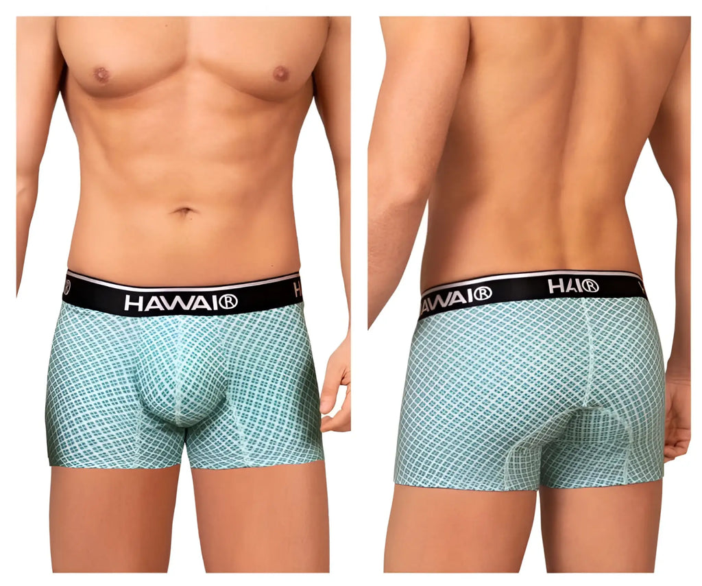 Light blue patterned boxer briefs with black hawaii brand waistband in hawai 42421 printed trunks green color