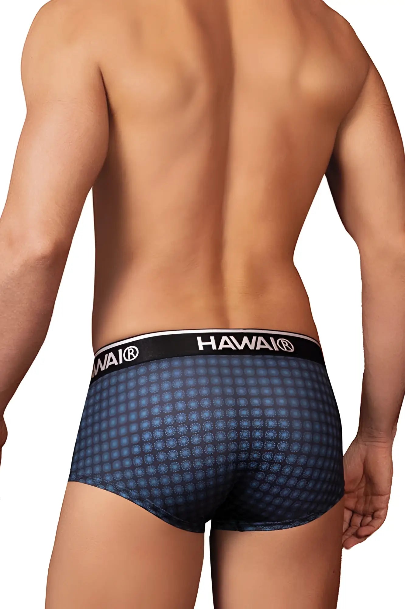 Dark blue patterned men’s briefs with black hawaii waistband in the HAWAI 42430 printed briefs blue design