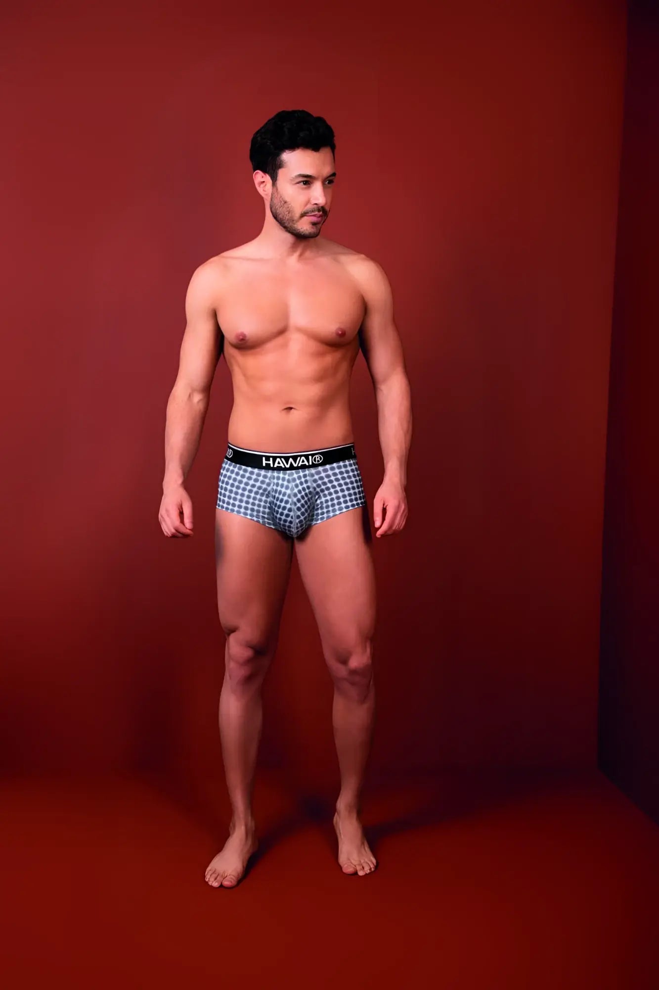 Hawai 42430 printed briefs in blue and white checkered pattern with black waistband in gray color