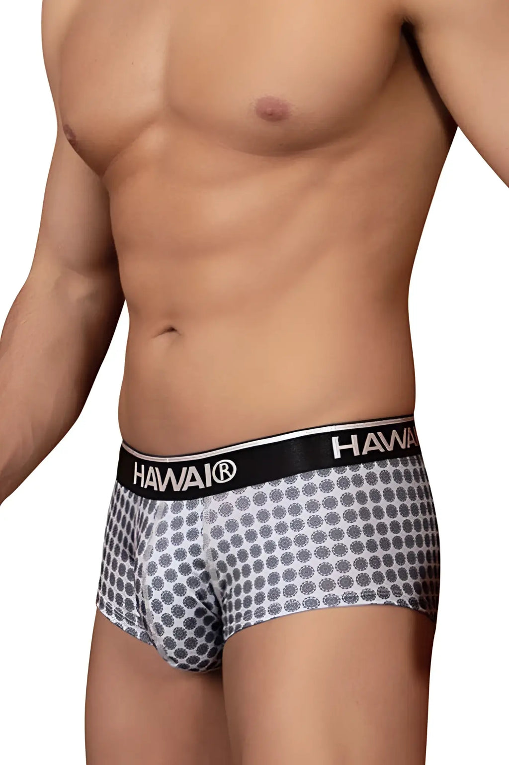Gray hawaii 42430 printed briefs with Hawaiian pattern and black waistband featuring hawaii brand name in white