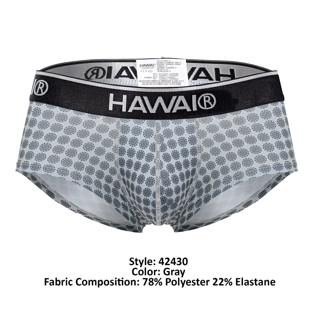 Gray patterned hawai 42430 printed men’s briefs with black elastic waistband and white hawai logo