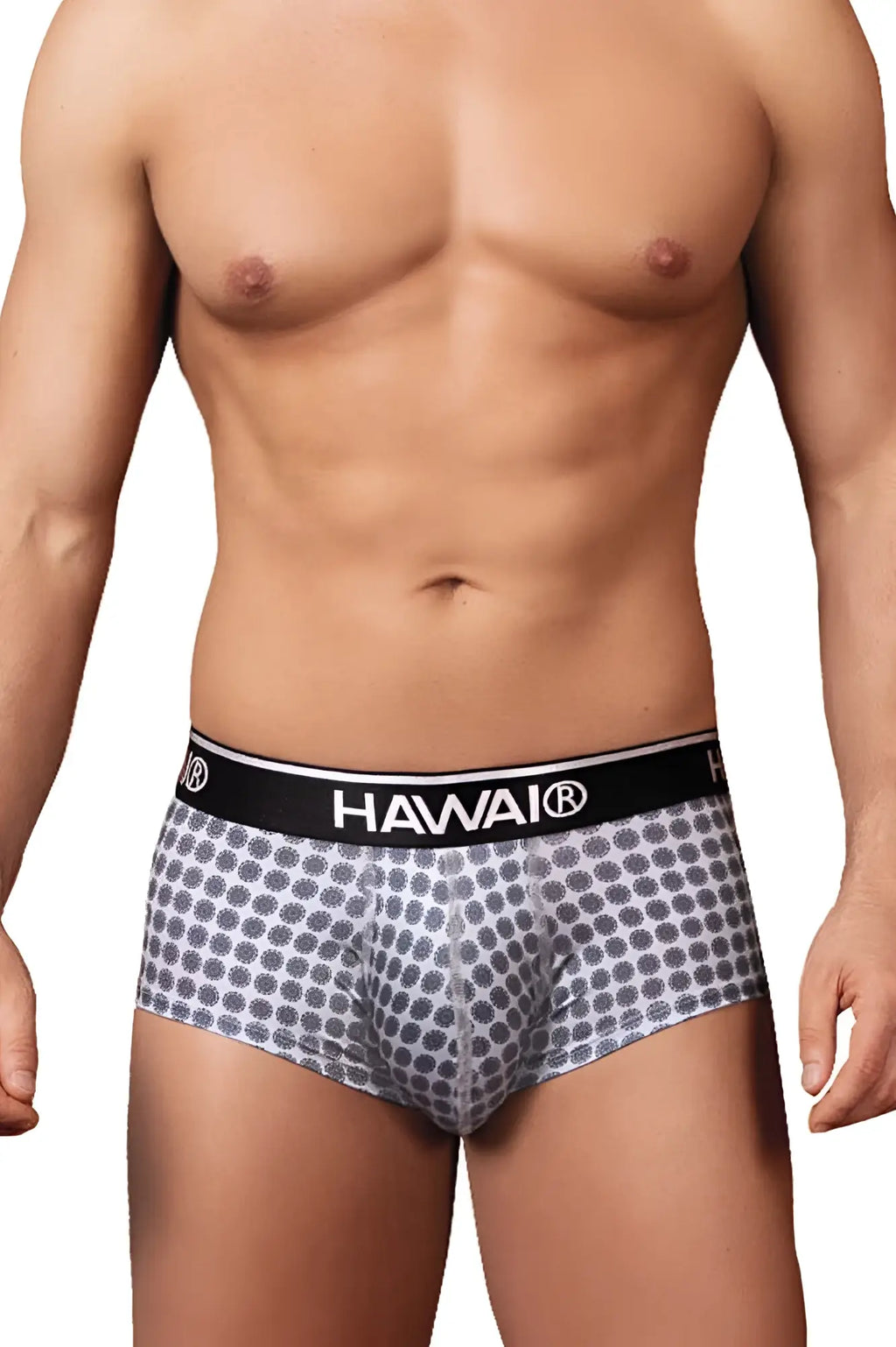 Gray patterned men’s briefs with a black hawai branded waistband from the hawai 42430 printed briefs collection