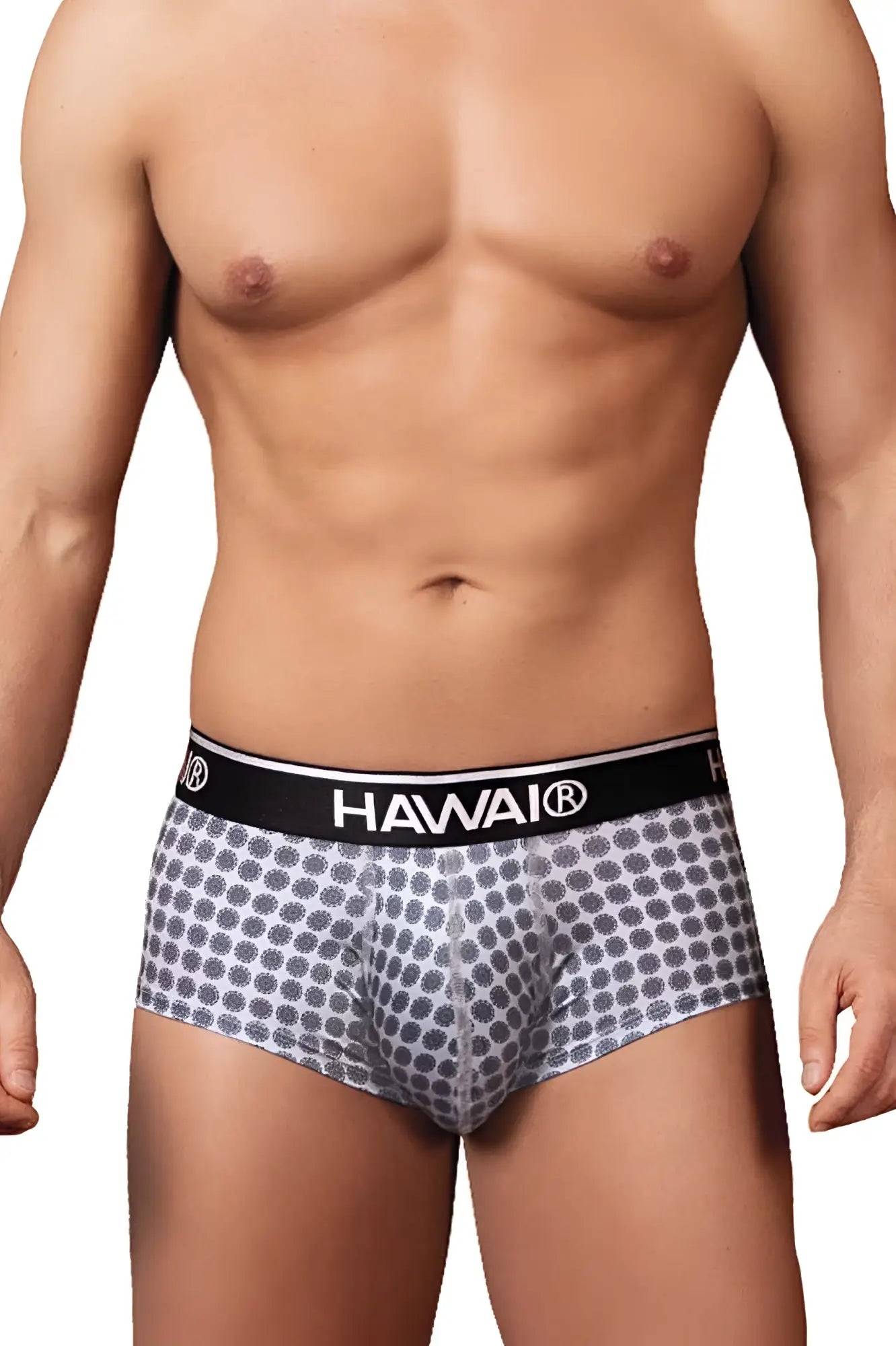 Gray patterned men’s briefs with a black hawai branded waistband from the hawai 42430 printed briefs collection