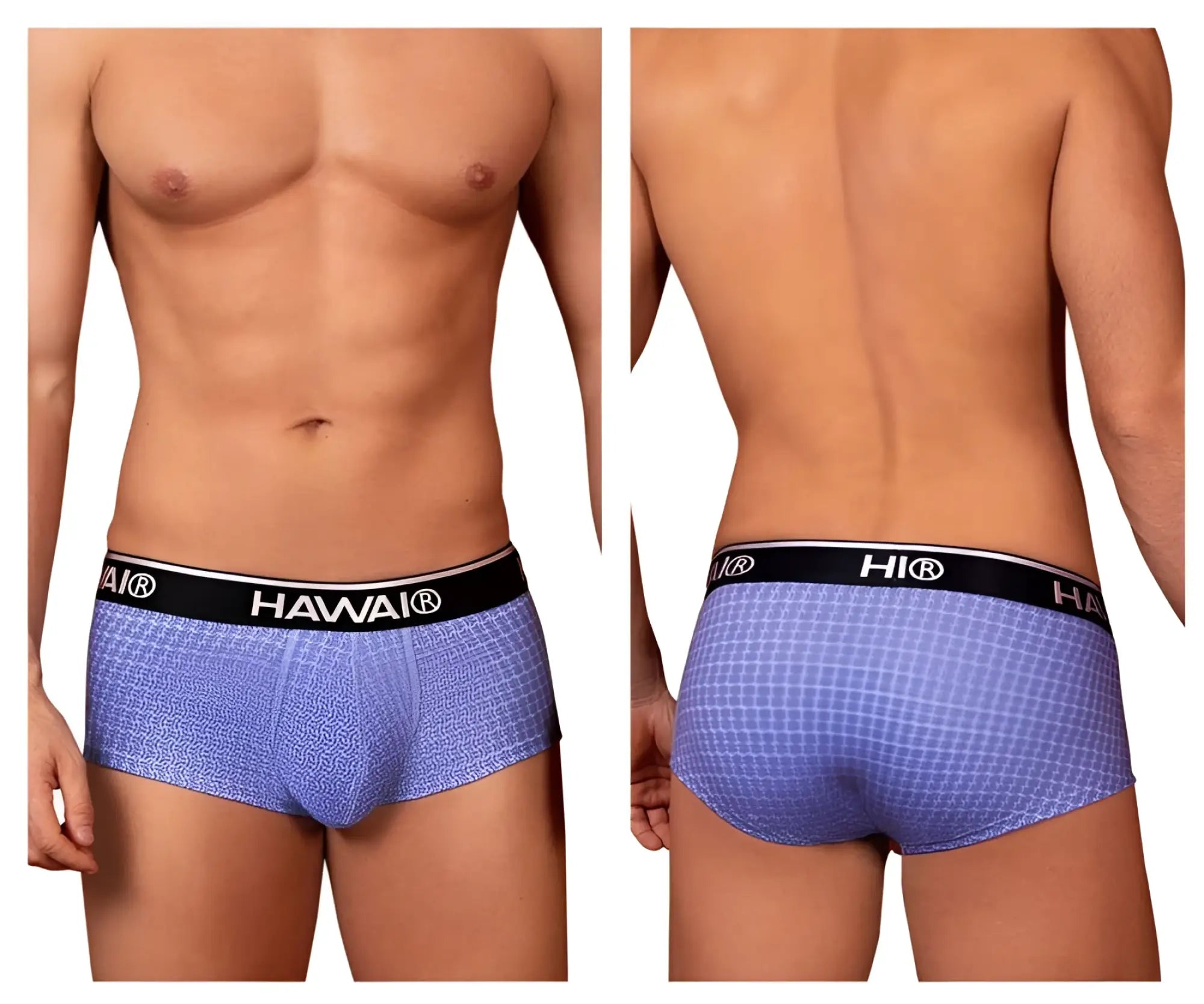 Blue patterned hawai 42431 printed briefs for men with black elastic waistband featuring the brand logo