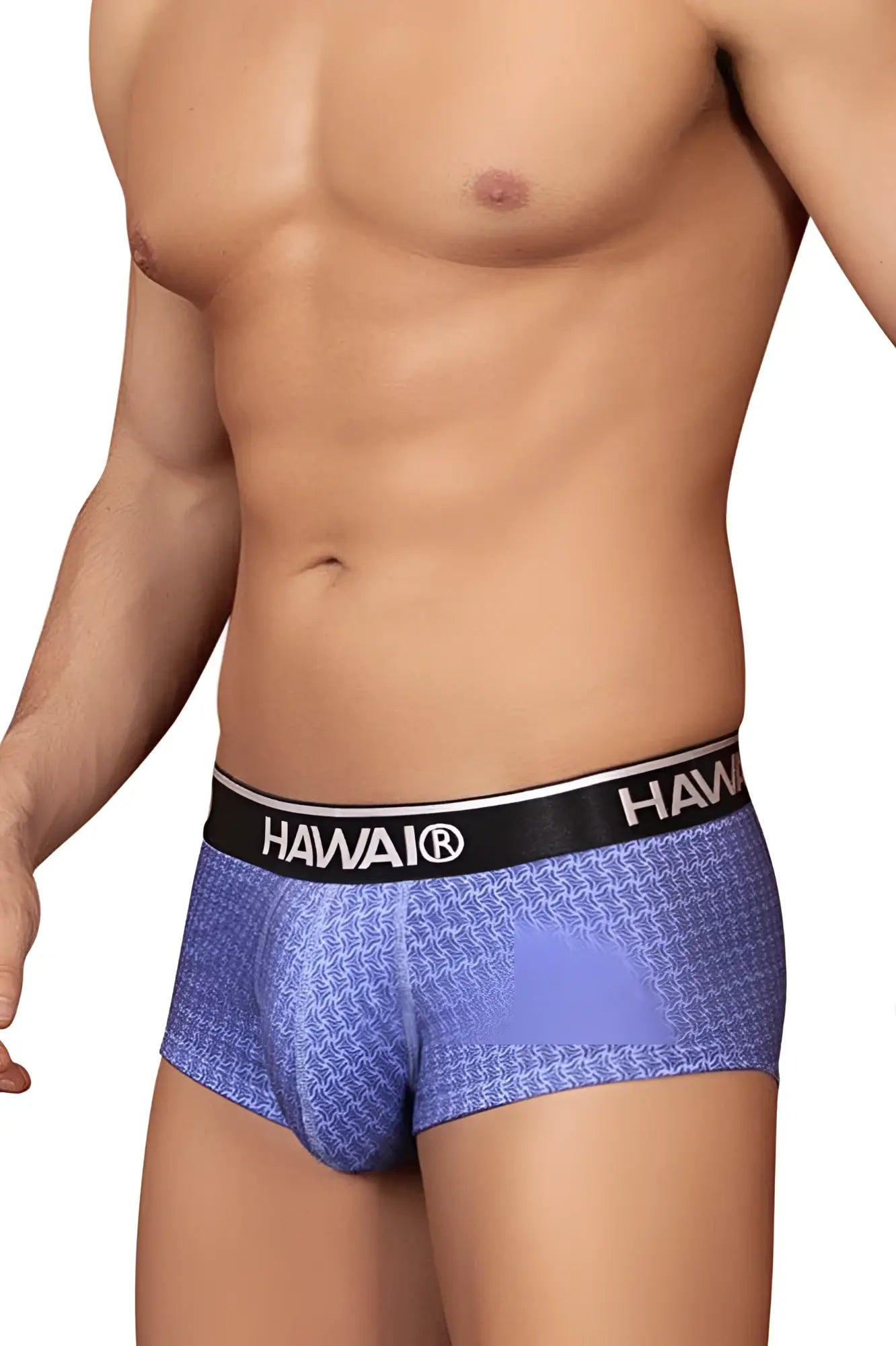 Blue patterned hawaiian men’s briefs with black waistband featuring hawaii logo in printed briefs color blue design