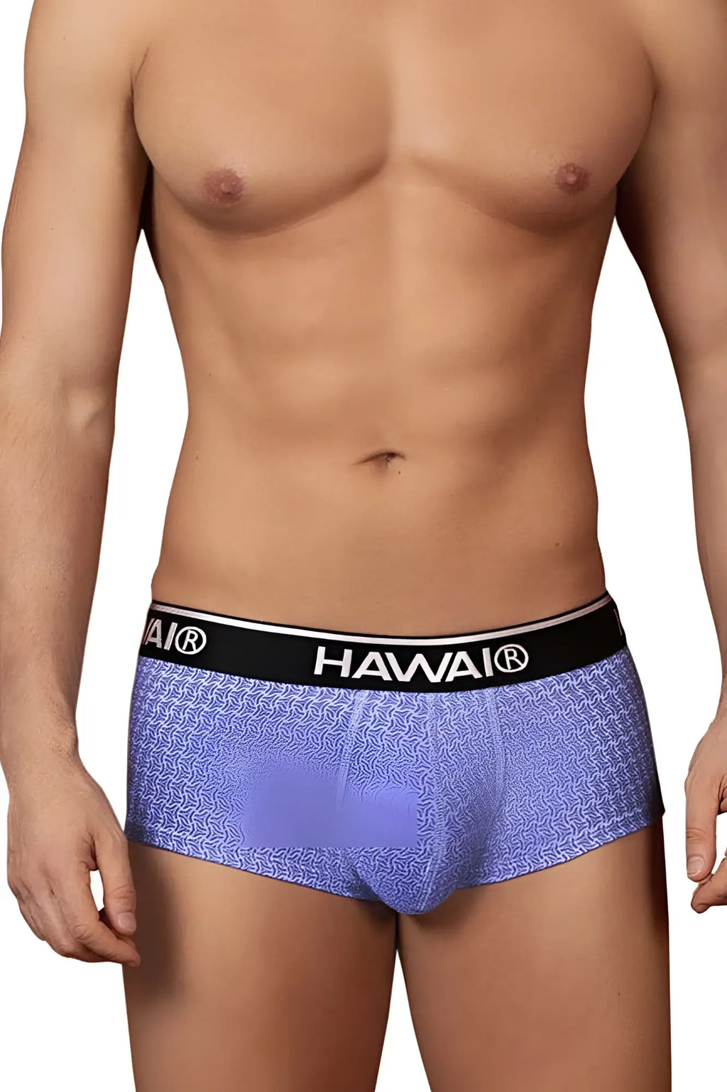 Purple patterned briefs with black hawaii waistband in blue color for comfortable everyday wear