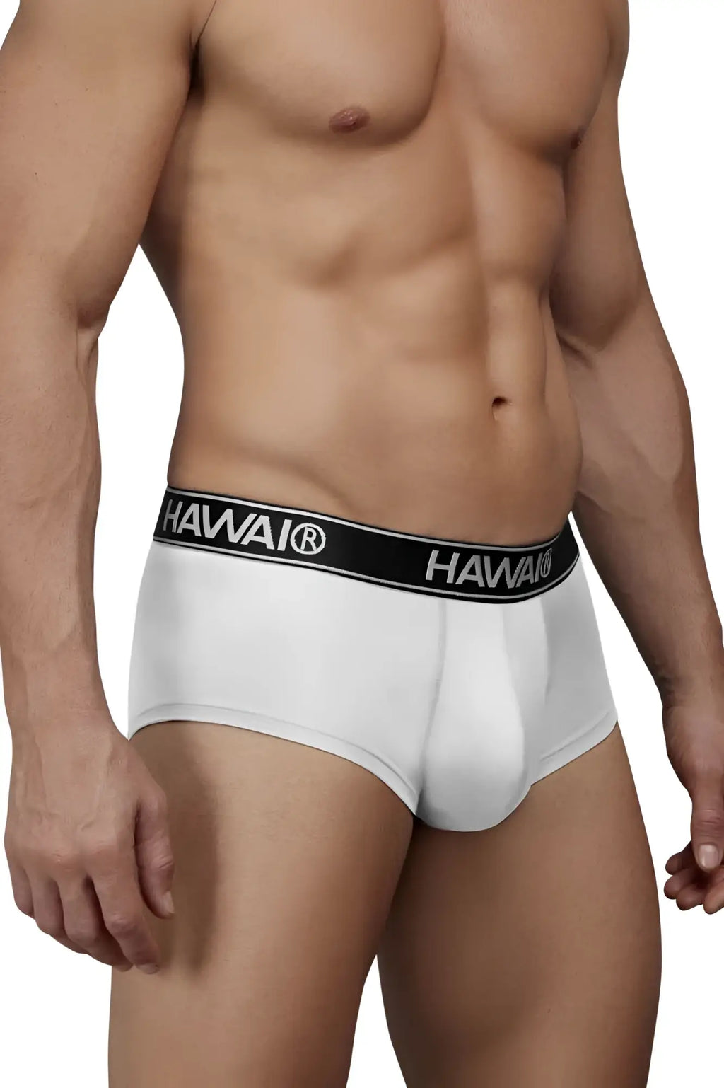 White Hawai 41961 microfiber men’s briefs with black elastic waistband and white brand name lettering