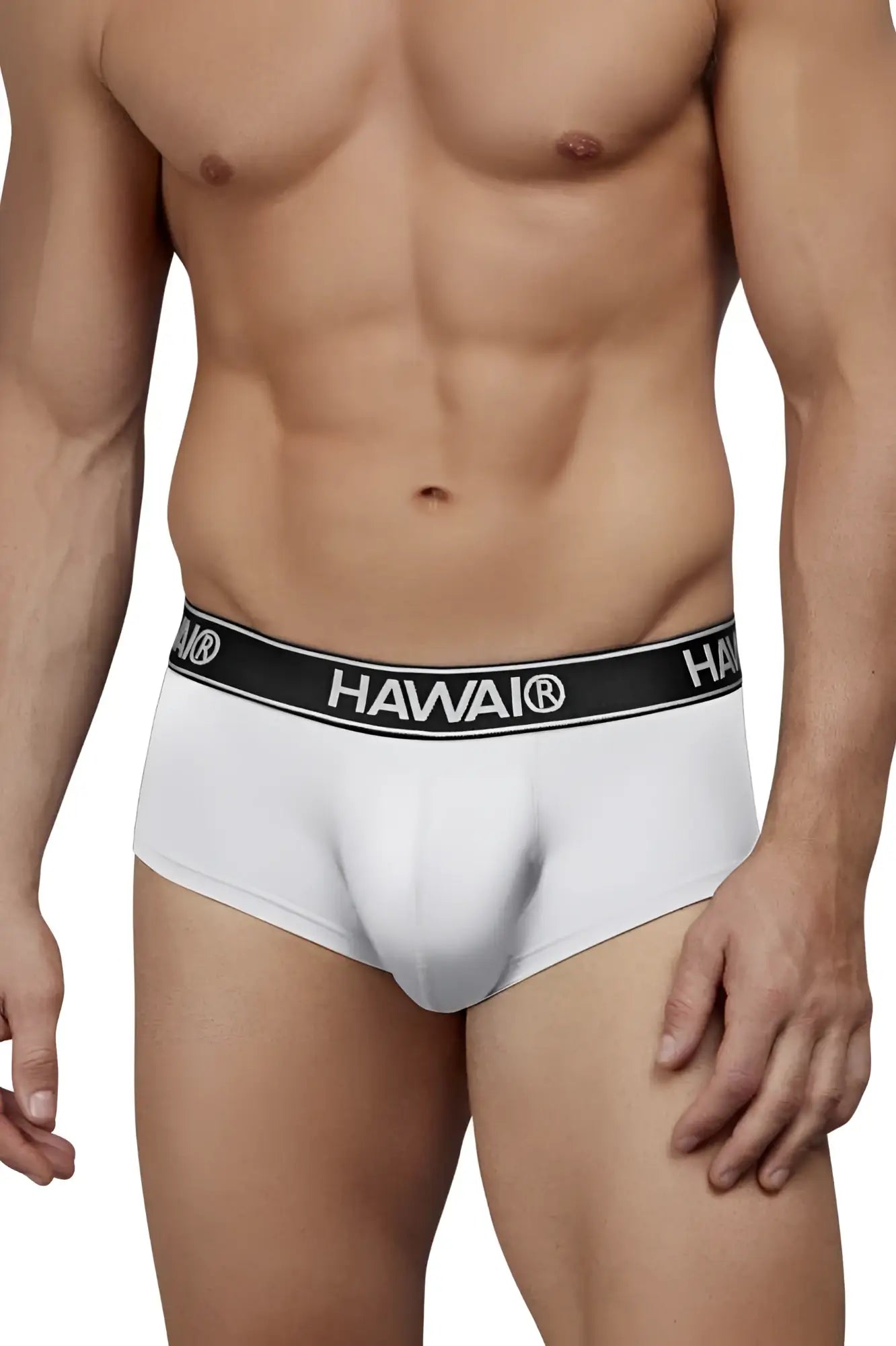 White men’s microfiber briefs with a black waistband featuring the hawaii brand name in white lettering