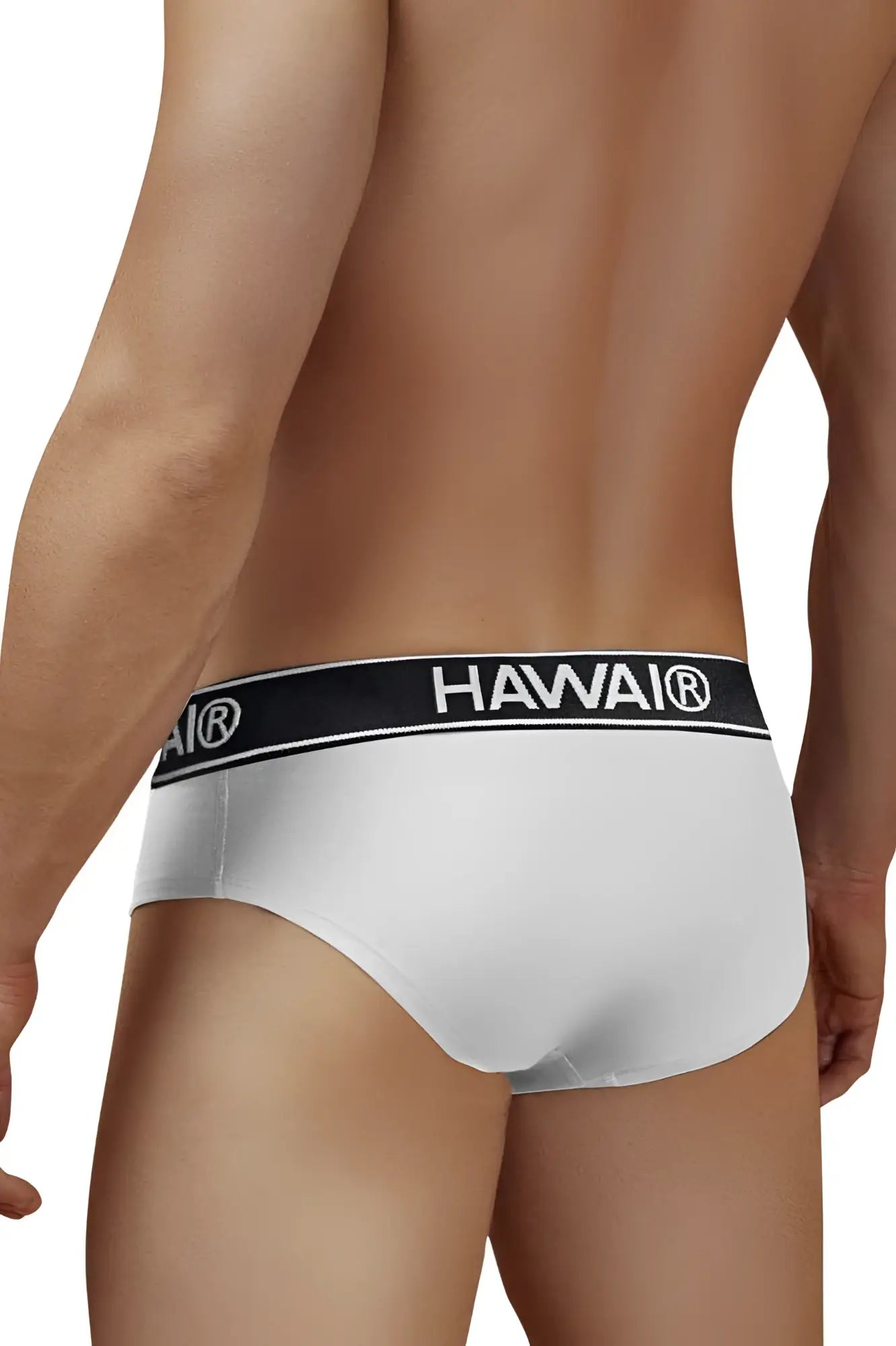 White havai briefs with black elastic waistband featuring logo in white cotton blend fabric model hawai 41962 white 01