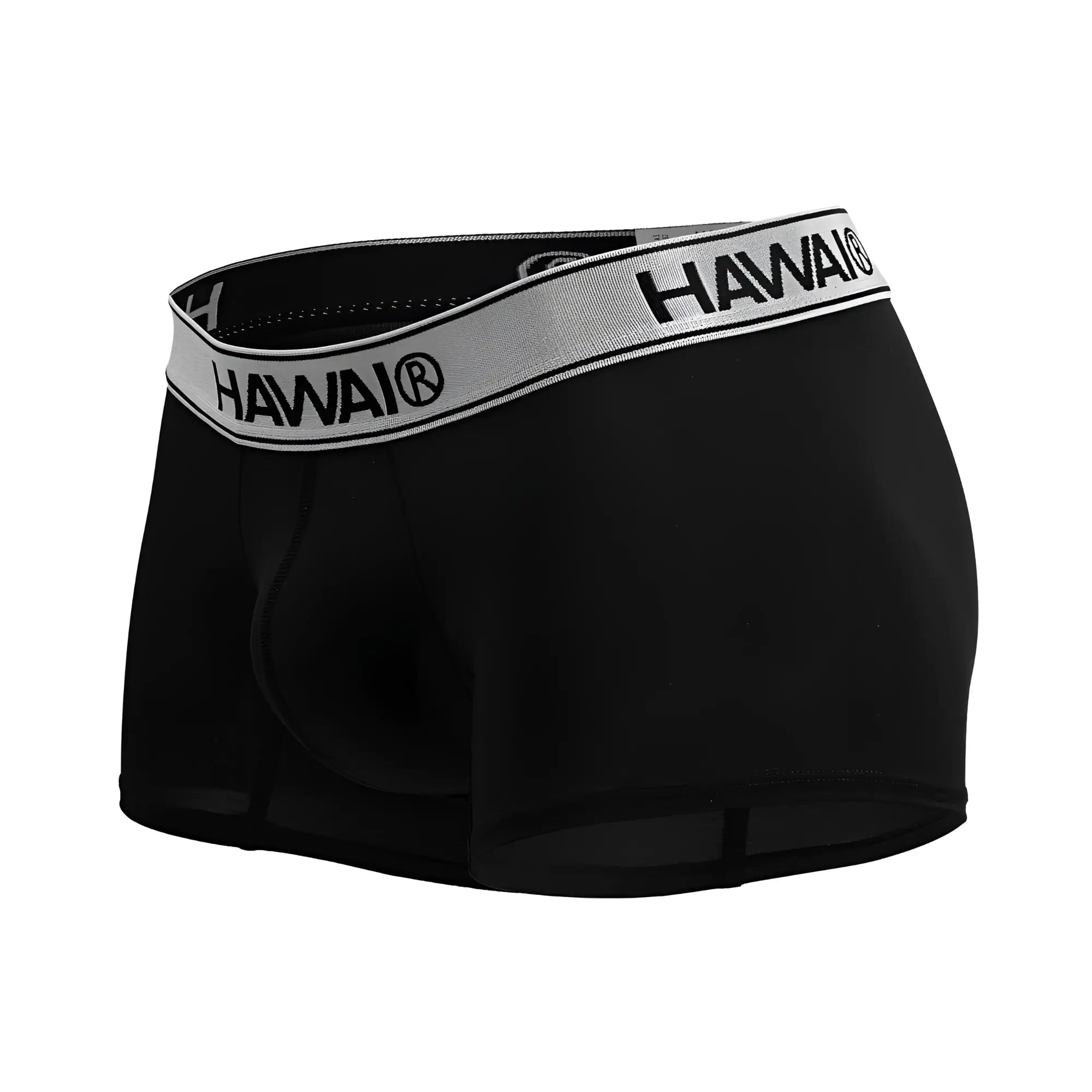 Black hawai brand microfiber briefs in black with a gray waistband featuring black brand lettering