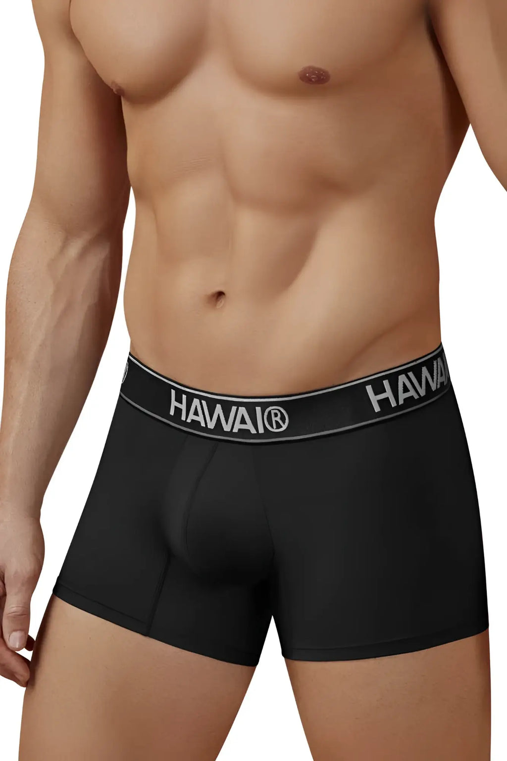 Black hawai 41977 microfiber men’s boxer briefs in black with gray elastic waistband and white brand name lettering